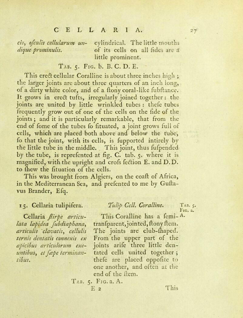 cis^ ofculis cellularnjn wi- cylindrical. The little mouths dique pro7ninulis. of its cells on all iides are a little prominent. Tab. 5. Fig. b. B. C. D. E. This ere^l cellular Coralline is about three inches high ; the larger joints are about three quarters of an inch long, • of a dirty white color, and of a ftony coral-like fubftance. It grows in ereit tufts, irregularly joined together: the joints are united by little wrinkled tubes : thefe tubes frequently grow out of one of the cells on the fide of the joints; and it is particularly remarkable, that from the end of fome of the tubes fo fituated, a joint grows full of cells, which are placed both above and below the tube, fo that the joint, with its cells, is fupported intirely by the little tube in the middle. This joint, thus fufpended by the tube, is reprefented at fig. C. tab. 5. where it is magnified, with the upright and crofs fedion E. and D.D. to ftiew the fituation of the cells. This was brought from Algiers, on the coaft of Africa, in the Mediterranean Sea, and prefented to me by Gufta- vus Brander, Efq. 15. Cellaria tulipifera. 'TitUp Cell. Corallmen Tab. 5. Fig. a. Cellaria Jiirpe articu- This Coralline has a femi- lata lapidea fubdiaphana^ tranfparent,jointed, ftonyfliem. articulis clavatis^ cellulis The joints are club-fhaped. ter72is dentatis connexis ex From the upper part of the apicihus articidoriun exe- joints arife three little den- tintibiis^ et fccpe terminaii- tated cells united together ; tihits. thefe are placed oppofitc to one another, and often at the end of the ilem. Tab. 5. Fjg. a. A. E 2 This