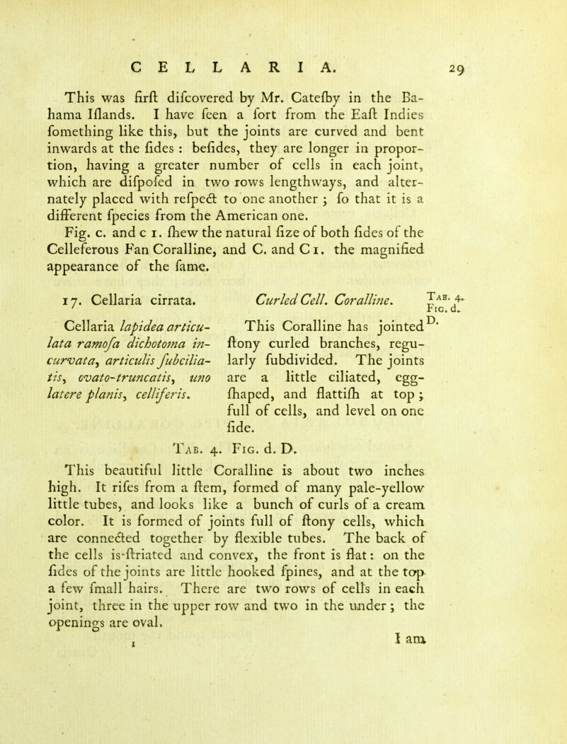 This was iirfl: difcovered by Mr. Catefby in the Ba- hama Iflands. I have feen a fort from the Eafl: Indies fomething like thisy but the joints are curved and bent inwards at the fides : befides, they are longer in propor- tion, having a greater number of cells in each joint, which are difpofed in two rows lengthways, and alter- nately placed with refpedt to one another ; fo that it is a different fpecies from the American one. Fig. c. and c i. fhew the natural fize of both fides of the Celleferous Fan Coralline, and C. and Ci. the magnified appearance of the fanae. 17. Cellaria cirrata. Curled Cell, Coralline. Cellaria lapidea articu- lata ramofa dichotoma in- curvata^ articuUs fubcilia- tisy cvato-truncatisy uno latere planisy celliferis. 1 AB. This beautiful little This Coralline has jointed ftony curled branches, regu- larly fubdivided» The joints are a little ciliated, egg- fhaped, and flattifh at top; full of cells, and level on one fide. 4. Fig. d. D. Coralline is about two inches high. It rifes from a flem, formed of many pale-yellow little tubes, and looks like a bunch of curls of a cream color. It is formed of joints full of ftony cells, which are conneded together by flexible tubes. The back of the cells is-ftriated and convex, the front is flat: on the fides of the joints are little hooked fpines, and at the tap a few fmall hairs. There are two rows of cells in each joint, three in the upper row and two in the uaider ; the openings are oval. I am. Tab. 4.^ P'iG. d.. D.