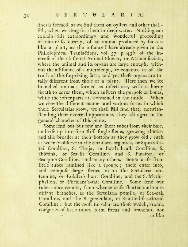 lines is'formed 5 as v/e find them on oyfters and other flieli- fifhj when we drag for them in deep water. Nothing can explain this extraordinary and wonderful proceeding of nature fo clearly, of an animal produced by fuckers like a plant, as the inftance I have already given in the Philofophical Tranfa6lions, vol. 57. p. 436. of the in- creafe of the clufliered Animal Flower, or AcSlinia fociata, where the animal and its organs are large enough, with- out the affiftance of a microfcope, to convince us of the truth of this furprizing fa6l; and yet thefe organs are to- tally different from thofe of a plant. Here then we fee branched animals formed as infedls are, with a horny fheath to cover them, which anfwers the purpofe of bones, while the fofter parts are contained in the infide. When we view the different manner and various forms in which thefe Sertularias grow, we fliall ftill find that, notwith- ftanding their external appearance, they all agree in the general character of this genus. Some fend out but few and fhort tubes from their bafe, and rife up into firm fliff fingle ftems, growing thicker and alfo broader at their bottom as they grow old ; fuch as we may obferve in the Sertularia argentea, or Squirrel's- tail Coralline, S. Thuja, or Bottle-brufh Coralline, S. abietina, or Sea-fir Coralline, and S^ Pinafler, or Sea-pine Coralline, and many others* Some arife from little tubes ramified like a fponge ; thefe enter into, and compofe large ftems, as in the Sertularia an- tennina, or Lobfter's-horn Coralline, and the S. Myrio- phyllon, or Pheafant's-tail Coralline. Some fend out tubes more remote, from whence arife fhorter and more didant branches, as the Sertularia pumila, or Sea-oak Coralline, and the S. geniculata, or Knotted fea-thread Coralline : but the moft fingular are thofe which, from a congeries of little tubes, form ftems and branches, not ^ unlike