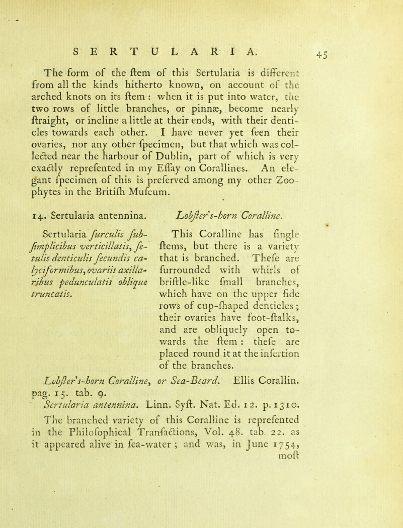 The form of the ftem of this Sertularia is different from all the kinds hitherto known, on account of the arched knots on its ftem : when it is put into water, the two rows of little branches, or pinn^, become nearly ftraight, or incline a little at their ends, with their denti- cles towards each other. I have never yet feen their ovaries, nor any other fpecimen, but that which was col- ledled near the harbour of Dublin, part of which is very exa6lly reprefented in my Effay on Corallines. An ele- gant fpecimen of this is preferved among my other Zoo- phytes in the Britifli Mufeum. 14. Sertularia antennina. Sertularia furculis fub- Jimplicibus verticillatis^ fe~ tulis denticulis fectindis ca- lyciformibus^ ovartis axilla^ ribus pedunculatis oblique truiKatis. hobfier s-horn Coralline. This Coralline has fingle ftems, but there is a varietv that is branched. Thefe are fjrrounded with whirls of briftle-like fmall branches, which have on the upper fide rows of cup-fhaped denticles; their ovaries have foot-ftalks, and are obliquely open to- v/ards the ftem : thefe are placed round it at the infertion of the branches. Lobjlers-hom Coralline^ or Sea-Beard. Ellis Corallin. pag. 15. tab. 9. Sertularia antennina. Linn. Syft. Nat. Ed. 12. p. 1310. The branched variety of this Coralline is reprefented in the Phiiofophical Tranfaftions, Vol. 48. tab. 22. as it appeared alive in fea-w^atcr ; and was, in June 1754, moft