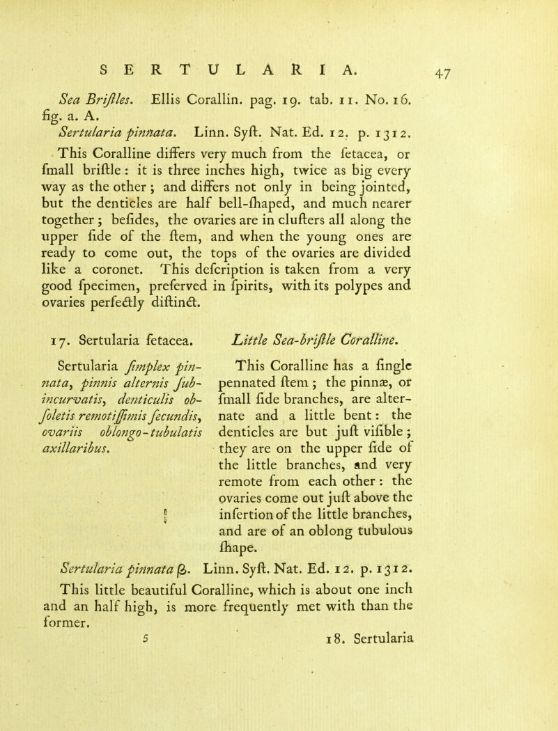 Sea Briftles, Ellis Corallin. pag. 19. tab. 11. No. 16. fig. a. A. Sertularia pinnata. Linn. Syft. Nat. Ed. 12. p. 1312. This Coralline differs very much from the fetacea, or fmall briftle : it is three inches high, twice as big every way as the other ; and differs not only in being jointed^ but the denticles are half bell-fhaped, and much nearer together; befides, the ovaries are in clufters all along the upper fide of the ftem, and when the young ones are ready to come out, the tops of the ovaries are divided like a coronet. This defcription is taken from a very good fpecimen, preferved in fpirits, with its polypes and ovaries perfedly diftindt. 17. Sertularia fetacea. Sertularia Jtmplex pin- nata^ pi7tnis alternis fub- incurvatis^ de?iticulis oh- foletis remotijjimis fecundisy ovariis obtongo - tubulatis axillaribus» Little Sea-brifile Corallme. This Coralline has a finglc pennated ftem ; the pinnae, or fmall fide branches, are alter- nate and a little bent: the denticles are but juft vifible ; they are on the upper fide of the little branches, and very remote from each other : the ovaries come out juft above the \ infertion of the little branches, and are of an oblong tubulous fhape. Sertularia pinnata |S. Linn. Syft. Nat. Ed. 12. p. 1312. This little beautiful Coralline, which is about one inch and an half high, is more frequently met with than the former.