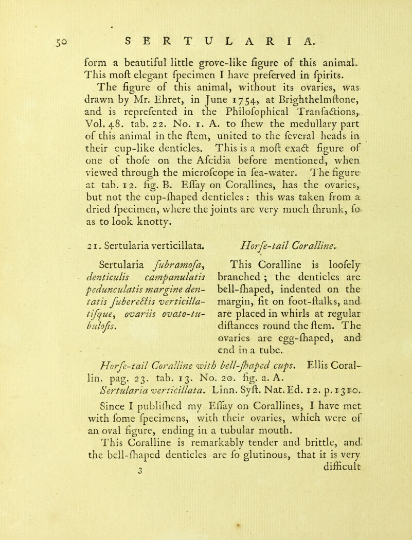 form a beautiful little grove-like figure of tkis animal.. This moft elegant fpecimen I hav^e preferved in fpirits. The figure of this animal, without its ovaries, was drawn by Mr. Ehret, in June 1754, at Brighthelmftone, and is reprefented in the Philofophical Tranfadtions,. Vol.48, tab. 22. No. I. A. to £hew the medullary part of this animal in the ftem, united to the feveral heads in their cup-like denticles. This is a moft exad; figure of one of thofe on the Afcidia before mentioned, when viewed through the microfcope in fea-water. The figure at tab. 12. fig. B. Effay on Corallines, has the ovaries, but not the cup-fliaped denticles: this was taken from a. dried fpecimen, where the joints are very much fhrunk, fo- as to look knotty. 21. Sertularia verticillata, Horfe-tail Coralline.- Sertularia fubramofa^ This Coralline is loofely denticulis cajnpanulatis branched ; the denticles are peduncidatis margine den- bell-fhaped, indented on the tatis fubereElis verticilla- margin, fit on foot-ftalks, and tifque^ ovariis ovato-tu- are placed in whirls at regular bulojts, diftances round the ftem. The ovaries are egg-£haped, and; end in a tube. Horfe-tail Coralline with bell-paped cups. Ellis Coral- lin. pag. 23. tab. 13. No. 2©. fig. a. A. Sertularia verticillata. Linn. Syft. Nat. Ed. i 2. p. 1310. Since I publiihed my Effay on Corallines, I have met with fome fpecimens, v/ith their ovaries, which were of an oval figure, ending in a tubular mouth. This Coralline is remarkably tender and brittle, and, the bell-fhaped denticles are fo glutinous^ that it is very difiicult