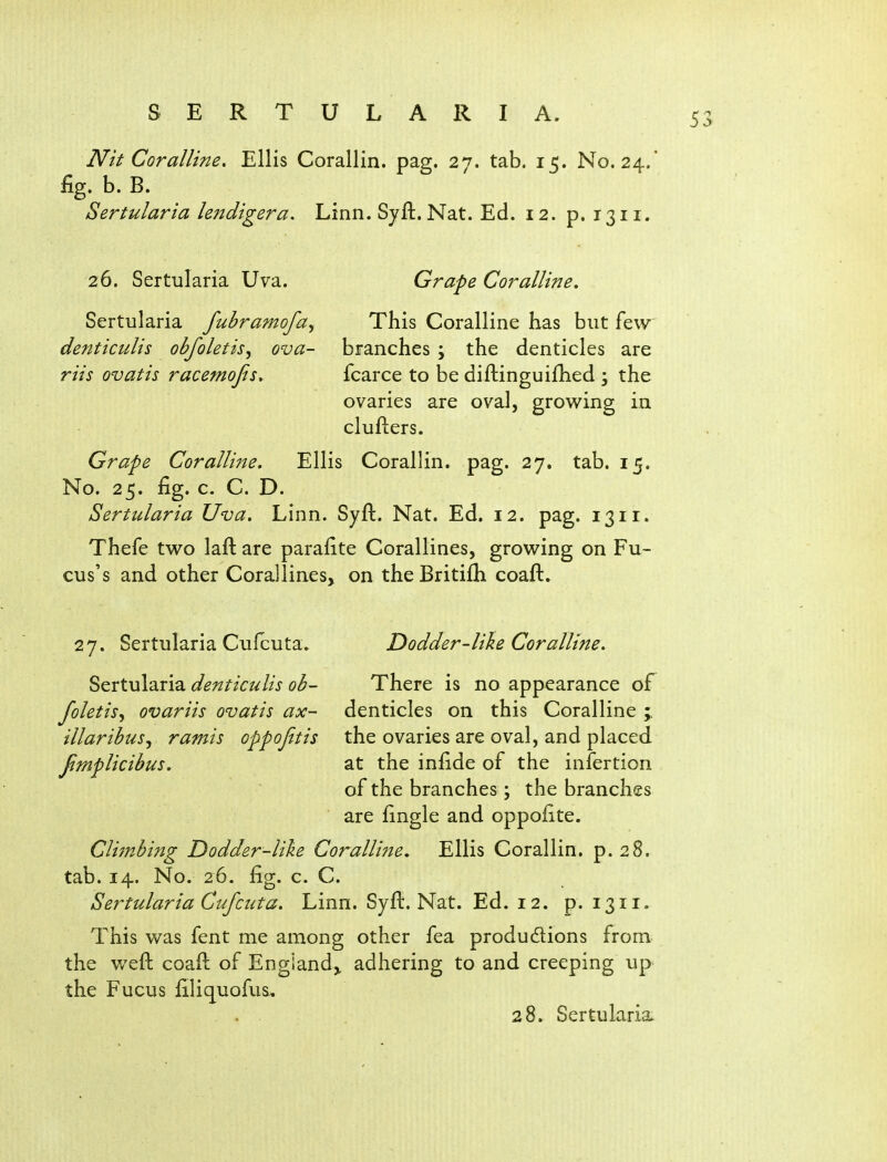 Nit Coralline, Ellis Corallin. pag. 27. tab. 15. No. 24/ fig. b. B. Sertularia le72digera. Linn. Syft. Nat. Ed. 12. p. 1311. 26. Sertularia Uva. Grape Coralline, Sertularia fubramofa^ This Coralline has but few denticulis obfoletis^ ova- branches ; the denticles are riis ovatis racemojis^ fcarce to be diftinguifhed \ the ovaries are oval, grov^ing in clufters. Grape Coralline. Ellis Corallin. pag. 27. tab. 15. No. 25. fig. c. C. D. Sertularia Uva, Linn. Syfl:. Nat. Ed. 12. pag. 1311. Thefe two laft are parafite Corallines, grov^ing on Fu- cus's and other Corallinesy on the Britifh coaft. 27. Sertularia Culcuta. Dodder-like Coralline. Sertularia denticulis ob- There is no appearance of foletis^ ovariis ovatis ax- denticles on this Coralline j illaribuSj ramis oppojitis the ovaries are oval, and placed Jimplicibus, at the infide of the infertion of the branches; the branches are fingle and oppofite. Climbing Dodder-like Coralline, Ellis Corallin. p. 28. tab. 14. No. 26. fig. c. C. Sertularia Cufcuta, Linn. Syfl. Nat. Ed. 12. p. 1311. This was fent me among other fea produdions from the v/eft coaft of England^ adhering to and creeping up the Fucus filiquofus^
