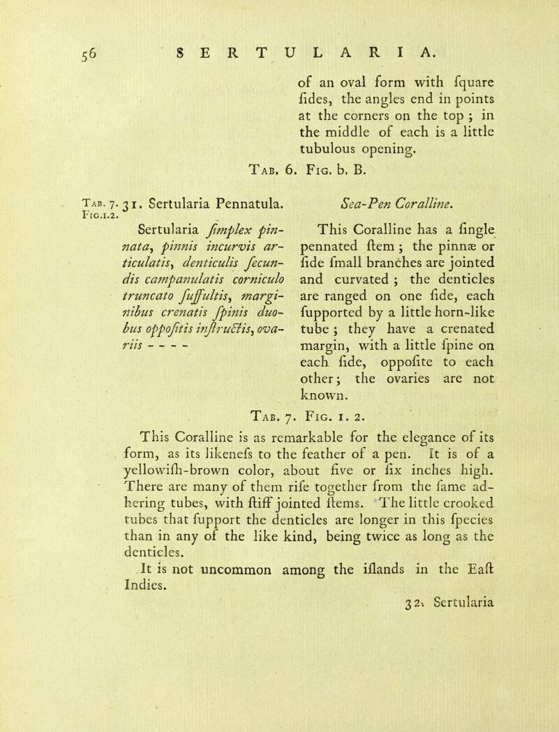 I 56 S E R T U L A R I A. of an oval form with fquare iides, the angles end in points at the comers on the top ; in the middle of each is a little tubulous opening. Tab. 6. Fig. b. B. Tab. 7.31. Sertularia Pennatula. Fig.1.2. Sertularia Jimplex pin- nata^ pmnis incurvis ar- ticulatis^ dentkulis fecun- dis campaimlatis corniculo truncato fuffultis^ margi- nibus crenatis fpmis duo- bus oppofitis i?iJiriLBis^ ova- riis Sea-Pen Coralline. This Coralline has a fingle pennated ftem ; the pinnae or fide fmali branches are jointed and curvated ; the denticles are ranged on one fide, each fupported by a little horn-like tube; they have a crenated margin, with a little fpine on each fide, oppofite to each other; the ovaries are not known. Tab. 7. Fig. i. 2. This Coralline is as remarkable for the elegance of its form, as its likenefs to the feather of a pen. It is of a yellowifh-brown color, about five or fix inches high. There are many of them rife together from the fame ad- hering tubes, with flifT jointed ilems. The little crooked tubes that fupport the denticles are longer in this fpecies than in any of the like kind, being twice as long as the denticles. It is not uncommon among the iflands in the Eaft Indies.