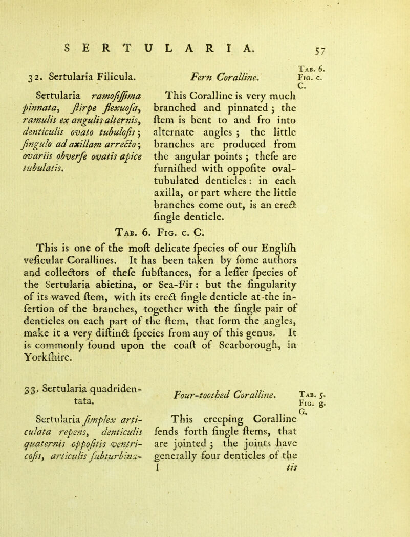 32. Sertularia Filicula. Sertularia ramojij/tma pinnata^ Jlirpe jlexuofa^ ramulis ex angulis alternisy denticulis ovato tubulojis; Jingulo ad axillam arreSio \ ovariis obverfe ovatis apice tubulatis. Fern Coralline, This Coralline is very much branched and pinnated j the ftem is bent to and fro into alternate angles ; the little Tab. 6. Fig. c„ C. branches are produced from the angular points ; thefe are furnifhed with oppofite oval- tubulated denticles: in each axilla, or part where the little branches come out, is an eredfc fingle denticle. Tab. 6. Fig. c. C. This is one of the moft delicate fpecies of our Englifh veficular Corallines. It has been taken by fome authors and collectors of thefe fubftances, for a lefler fpecies of the Sertularia abietina, or Sea-Fir: but the fingularity of its waved ftem, with its ereCl (ingle denticle at the in- fertion of the branches, together with the fingle pair of denticles an each part of the ftem, that form the angles, make it a very diftindt fpecies from any of this genus. It is commonly found upon the coaft of Scarborough, in Yorkfhire. 33. Sertularia quadriden- tata. Four-toothed Coralline, Sertularia fimplex arti- This creeping Coralline culata repensy denticulis fends forth fingle ftems, that quaternis oppofitis ventri- are jointed ; the joints have cofisy articulis jubturbina- generally four denticles of the I tis Tab. 5. Fig. g. G,