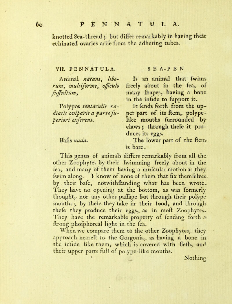 knotted Sea-thread ; but differ remarkably in having their echinated ovaries arife from the adherinp; tubes. TIL FENNATULA. SEA-PEN Animal natans^ lihe- Is an animal that fwima rum, multiformey offtculo freely about in the fea, of fuffultum^ many fhapes, having a bone in the infide to fupport it. Polypos tentaculis ra- It fends forth from the up- diatis oviparis a partefu- per part of its ftem,, polype- periori. exferens, . like mouths furrounded by clawsthrough thefe it pro- duces its eggs. Biafis nuda. The lovt^er part of the ftem. is bare. This genus of animals differs remarkably from all the other Zoophytes by their fwimming freely about in the fea,. and many of them having a mufcular motion as theys fwim along. I know of none of them that fix themfelves by their bafe, notwithftanding what has been wrote.. They have no opening at the bottom, as was forjnerly thought, nor any otJier paffage but through, their polype mouths; by thefe they take in their food, and through thefe they produce their eggs,, as in mofl: Zoophytes. They have the remarkable property of fending lorth a. ftrong phofphoreal light in the fea. When we compare them to the other Zoophytes, they approach neareft to the Gorgonia,. as having a bone in; the iniide like them, which is covered with flefh, and. itheir upper parts full of polype-like mouths. ^ Nothing