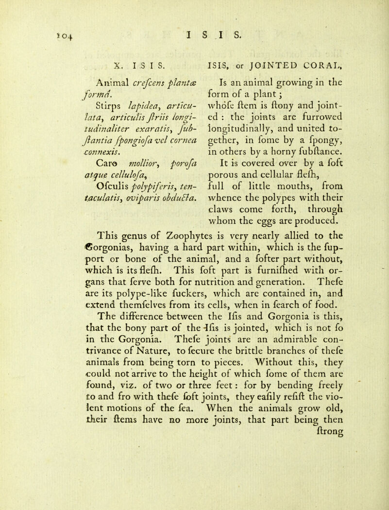 X. I S I s. Animal crefcerts plantca forma. Stirps lapidea^ artku- lata^ articutis Jlriis lo7igi- tudiiraltter exaratis^ fub- jlantia fpongiofa vel cornea ■coii7iexis. Car<5 mollior^ porofa atque cellulofa^ Ofculis polypiferis^ ten- t.aculatisy oviparis obduBa. ISIS, or JOINTED CORAL. Is an animal growing in the form of a plant; vvhofe ftem is ftony and joint- ed : the joints are furrowed longitudinally, and united to- gether, in fome by a fpongy, in others by a horny fubflance. It is covered over by a foft porous and cellular flefh, full of little mouths, from whence the polypes with their claws come forth, through whom the eggs are produced. This genus of Zoophytes is very nearly allied to the Corgonias, having a hard part within, which is the fup- •port or bone of the animal, and a fofter part without, which is its flefh. This foft part is furnifhed with or- gans that ferve both for nutrition and generation. Thefe are its polype-like fuckers, which are contained in, and extend themfelves from its cells, when in fearch of food. The difference between the Ifis and Gorgonia is thi?, that the bony part of the -Ifis is jointed, which is not fo in the Gorgonia. Thefe joints are an admirable con- trivance of Nature, to fecure the brittle branches of thefe animals from being torn to pieces. Without this, they could not arrive to the height of which fome of them are found, viz. of two or three feet: for by bending freely to and fro with thefe foft joints, they eafily refifl: the vio- lent motions of the fea. When the animals grow old, their fiems have no more joints, that part being then ftrong