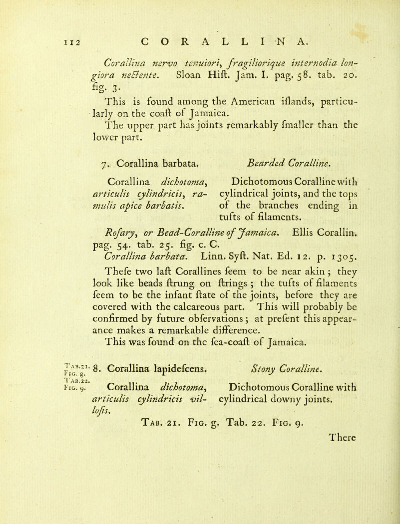 Corallhia nervo tenuioriy fragilioriqm internodia lon- giora neBente. Sloan Hift. Jam. I. pag. 58. tab. 20. % 3- This is found among the American iflands, particu- larly on the coaft of Jamaica. The upper part has joints remarkably fmaller than the lower part. 7. Corallina barbata. Bearded Coralline, Corallina dichoto7na^ Dichotomous Coralline with articulis cylindricis^ ra- cylindrical joints, and the tops mulis apice barbatis, of the branches ending in tufts of filaments. Rofary^ or Bead-Coralline of Jamaica, Ellis Corallin. pag. 54. tab. 25. fig. c. C. Corallina barbata. Linn. Syft. Nat. Ed. i 2. p. 1305. Thefe two laft Corallines feem to be near akin ; they look like beads ftrung on firings ; the tufts of filaments feem to be the infant flate of the joints, before they are covered with the calcareous part. This will probably be confirmed by future obfervations; at prefent this appear- ance makes a remarkable difference. This was found on the fea-coaft of Jamaica. FiG^'g^' ^* Corallina lapidefcens. Stony Coralline, Fig. 9. Corallina dichotoma^ Dichotomous Coralline with articulis cylindricis vil- cylindrical downy joints. lojis. Tab. 21. Fig. g. Tab. 22. Fig. 9. There