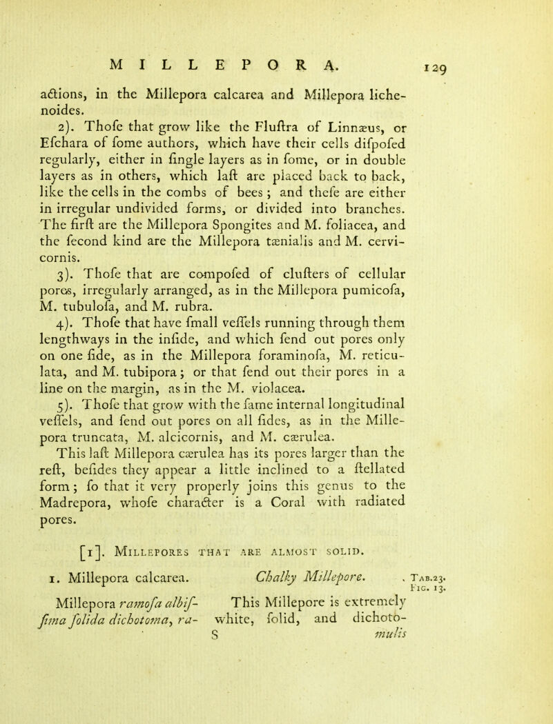 a£lions, in the Millepora calcarea and Millepora liche- noides. 2) . Thofc that grow like the Fluftra of Linnaeus, or Efchara of fome authors, which have their cells difpofed regularly, either in fingle layers as in fome, or in double layers as in others, which laft are placed back to back, like the cells in the combs of bees ; and thefe are either in irregular undivided forms, or divided into branches. The firft are the Millepora Spongites and M. foliacea, and the fecond kind are the Millepora tsnialis and M. cervi- cornis. 3) . Thofe that are compofed of clufters of cellular porGs, irregularly arranged, as in the Millepora pumicofa, M. tubulofa, and M. rubra. 4) . Thofe that have fmall vefTels running through them lengthways in the infide, and Vv^hich fend out pores only on one fide, as in the Millepora foraminofa, M. reticu- lata, and M. tubipora; or that fend out their pores in a line on the margin, as in the M. violacea. 5) . Thofe that grow with the fame internal longitudinal veffels, and fend out pores on all fides, as in the Mille- pora truncata, M. alcicornis, and M. caerulea. This laft Millepora caerulea has its pores larger than the reft, befides they appear a little inclined to a ftellated form; fo that it very properly joins this genus to the Madrepora, v/hofe charader is a Coral with radiated pores. [l]. MiLLEPORES THAT ARE ALMOST SOLID. I. Millepora calcarea. Chalky Millepore, , TAB.23. Fig. 13. Millepora ramofaalbif- This Millepore is extremely ftina folida dichotojna^ ra- white, folid, and dichoto- S mutis