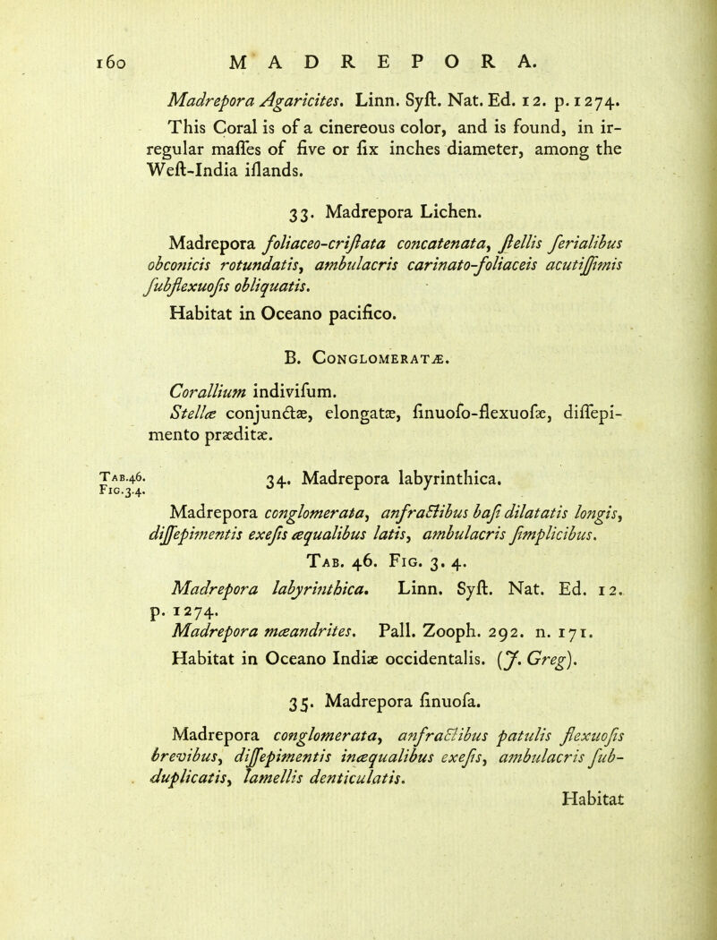 Madrepora Agarkites. Linn. Syft. Nat. Ed. 12. p. 1274. This Coral is of a cinereous color, and is found, in ir- regular maffes of five or fix inches diameter, among the Weft-India iflands. 33. Madrepora Lichen. Madrepora foliaceo-criftata concatenata, Jlellis feriaUhus obconicis 7'otundatis^ ambulacris carinato-foliaceis acutijjimis fubflexuojis obliquatis. Habitat in Oceano pacifico. B. CoNGLOMERATiE. Cor allium indivifum. Stellee conjundlae, elongatas, finuofo-flexuofae, diflepi- mento prseditae. 24. Madrepora labyrinthica. Madrepora miglomerata^ anfraSiibus bafi dilatatis longis, dijfepimentis exejts aqualibus latis^ ambulacris Jimplicibus, Tab. 46. Fig. 3. 4. Madrepora labyrinthica. Linn. Syft. Nat. Ed. 12. p. 1274. Madrepora mceandrites. Pall. Zooph. 292. n. 171. Habitat in Oceano Indiae occidentalis. [y, Greg). 35. Madrepora finuofa. Madrepora conglomerata^ anfraBibus patulis Jlexuojis brevibus^ dijfepimentis inaequalibus exejis^ ambulacris fiib- . duplicatisy lamellis denticulatis. Habitat