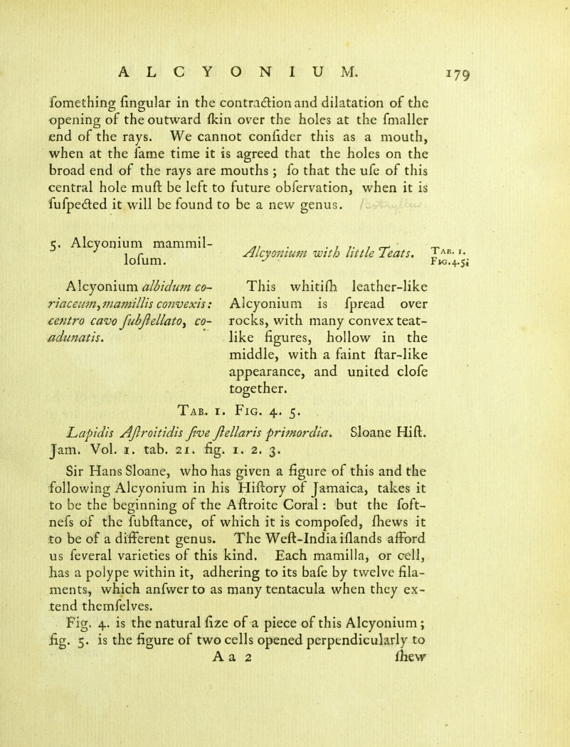 fomething fingular in the contradlion and dilatation of the opening of the outward fkin over the holes at the fmaller end of the rays. We cannot confider this as a mouth, when at the fame time it is agreed that the holes on the broad end of the rays are mouths; fo that the ufe of this central hole muft be left to future obfervation, when it is fufpedled it will be found to be a new genus. 5. Alcyonium mammil- ^. . ^ ^ r j^lcyomum with littte leats, lolum. Fks. Alcyoninm al^klum CO- This whitifh leather-like riacetm2^ma?nilUs convexis: Alcyonium is fpread over eentro cavo fubjiellato^ co- rocks, with many convex teat- adunatis. like figures, hollow in the middle, with a faint ftar-like appearance, and united clofe together. Tab. I. Fig. 4. 5. , Lapidis AJlro'itidis Jive Jlellnris primordia, Sloane Hift, Jam. Vol. I. tab. 21. fig. i. 2. 3. Sir Hans Sloane, who has given a figure of this and the following Alcyonium in his Hiilory of Jamaica, takes it to be the beginning of the Aftroite Coral: but the foft- nefs of the fubftance, of which it is compofed, fhews it to be of a different genus. The Weft-India iflands afford us feveral varieties of this kind. Each mamilla, or cell, has a polype within it, adhering to its bafe by twelve fila- ments, which anfwerto as many tentacula when they ex- tend themfelves. Fig. 4. is the natural fize of a piece of this Alcyonium; fig. 5. is the figure of two cells opened perpendicularly to A a 2 fhew