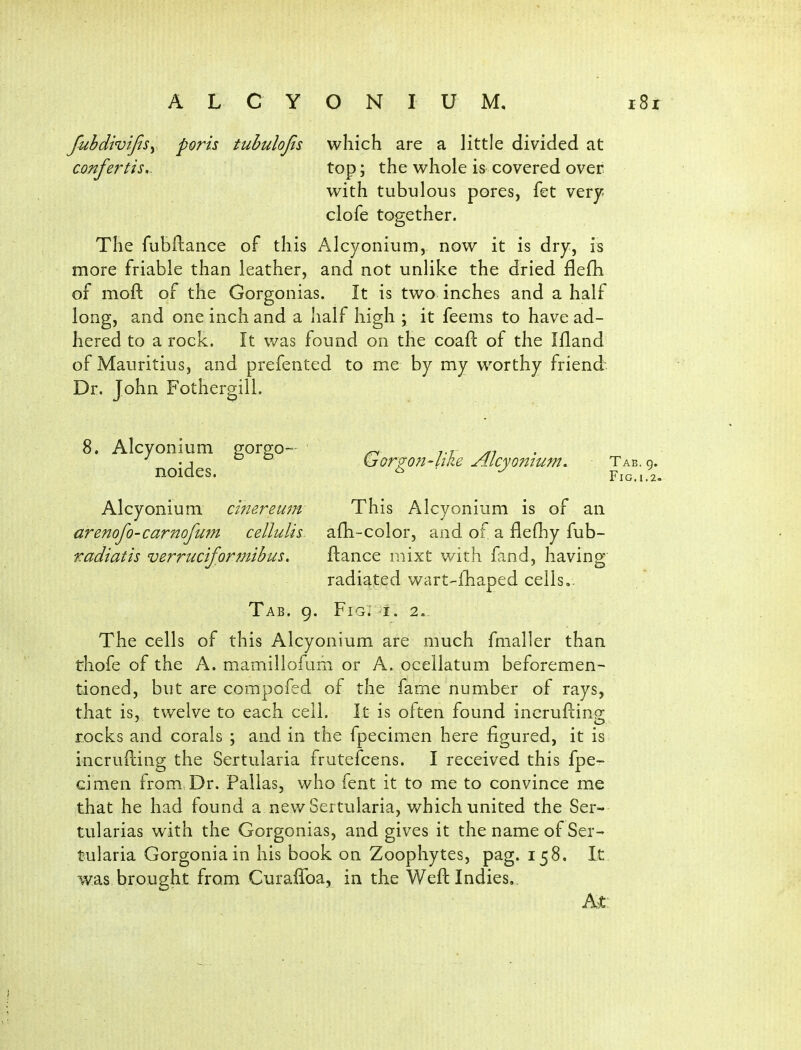 fubdivifisy ports tubulojis which are a little divided at confertis.. top; the whole is covered over with tubulous pores, fet very; clofe together. The fubftance of this Alcyonium, now it is dry, is more friable than leather, and not unlike the dried flefh of moft of the Gorgonias. It is two inches and a half long, and one inch and a half high ; it feems to have ad- hered to a rock. It was found on the coaft of the Ifland of Mauritius, and prefented to me by my worthy friend Dr. John Fothergill. 8. Alcyonium gorgo- noides. Alcyonium cinereum arenofo-carnofum cellulis radiatis verruciformibus. Tab. 9. Fig. i. 2.. The cells of this Alcyonium are much fmaller than thofe of the A. mamillofum or A. ocellatum beforemen- tioned, but are compofed of the fame number of rays, that is, twelve to each cell. It is often found inerufting; rocks and corals ; and in the fpecimen here figured, it is incrufting the Sertularia frutefcens. I received this fpe- cimen from, Dr. Pallas, who fent it to me to convince me that he had found a new Sertularia, which united the Ser- tularias with the Gorgonias, and gives it the name of Ser- tularia Gorgoniain his book on Zoophytes, pag. 158. Lt was brought from Curaffoa, in the Wefl: Indies,. ht. Gorgon-like Alcyonium. Tab. 9. Fig.1.2. This Alcyonium is of an afh-color, and of a flefhy fub- ftance mixt with fand, having radiated wart-lliaped cells..