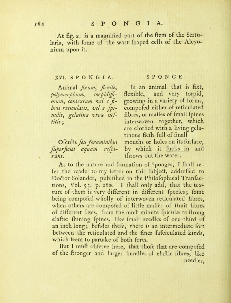 At fig. 2. is a magnified part of the ftem of the Sertu- laria, with fome of the wart-fhaped cells of the Alcyo- nium upon it. XVI. S P O N G I A. SPONGE Animal fixum^ flexile^ Is an animal that is fixt, folyjmi'phum^ torpidijffi- flexible, and very torpid, mum^ contextum vel e fi~ growing in a variety of forms, bris reticidatis^ vel e fpi~ compofed either of reticulated nulisy gelatina viva vef- fibres, or mafies of fmall fpines iitis; interwoven together, which are clothed with a living gela- tinous flefh full of fmall Ofculis feu foraminihus mouths or holes on its furface, fuperjiciei aquam re/pi- by which it fucks in and ra7ts. throws out the water. As to the nature and formation of Sponges, I fhall re- fer the reader to my letter on this fubjedl, addreffed to Dodlor Solander, publifhed in the Philofophical Tranfac- tions, VoL 55. p. 280. I fhall only add, that the tex- ture of them is very different in different fpecies; fome being compofed wholly of interwoven reticulated fibres, when others are compofed of little maffes of ftrait fibres of different fizes, from the moft minute fpicul^ to flrong elaftic fhining fpines, like fmall needles of one-third of an inch long; befides thefe, there is an intermediate fort between the reticulated and the finer fafciculated kinds, which feem to partake of both forts. But I muff obferve here, that thofe that are compofed .of the ftronger and larger bundles of elaftic fibres, like needles,