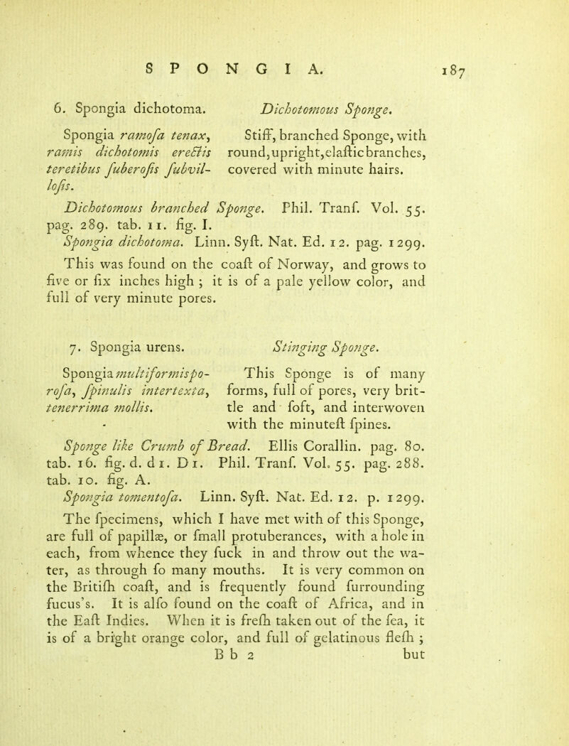 6. Spongia dichotoma. Dichotomous Sponge. Spongia ramofa tenax^ Stiff, branched Sponge, with ramis dichotomis ereBis round, upright,elaftic branches, teretibus fuberofis fubvil- covered with minute hairs. Dichotomous branched Sponge, Phil. Tranf. Vol. 55. pag. 289. tab. II. fig. I. Spongia dichotoma. Linn. Syft. Nat. Ed. 12. pag. 1299. This was found on the coafl: of Norway, and grows to five or fix inches high ; it is of a pale yellow color, and full of very minute pores. 7. Spongia urens. Stingijtg Sponge. S-^ongi3.77ztiltiformispo- This Sponge is of many fpinulis intertextay forms, full of pores, very brit- tenerrima mollis. tie and foft, and interwoven with the minuteft fpines. Spc7tge like Crumb of Bread. Ellis Corallin. pag. 80. tab. 16. fig. d. di. Di. Phil. Tranf VoL 55. pag. 288. tab. 10. fig. A. Sp07igia tome7itofa. Linn. Syft. Nat. Ed. 12. p. 1299. The fpecimens, which I have met with of this Sponge, are full of papills, or fmall protuberances, with a hole in each, from whence they fuck in and throw out the wa- ter, as through fo many mouths. It is very common on the Britifh coaft, and is frequently found furrounding fucus's. It is alfo found on the coaft of Africa, and in the Eaft Indies. When it is frefh taken out of the fea, it is of a bright orange color, and full of gelatinous flefii ; B b 2 but
