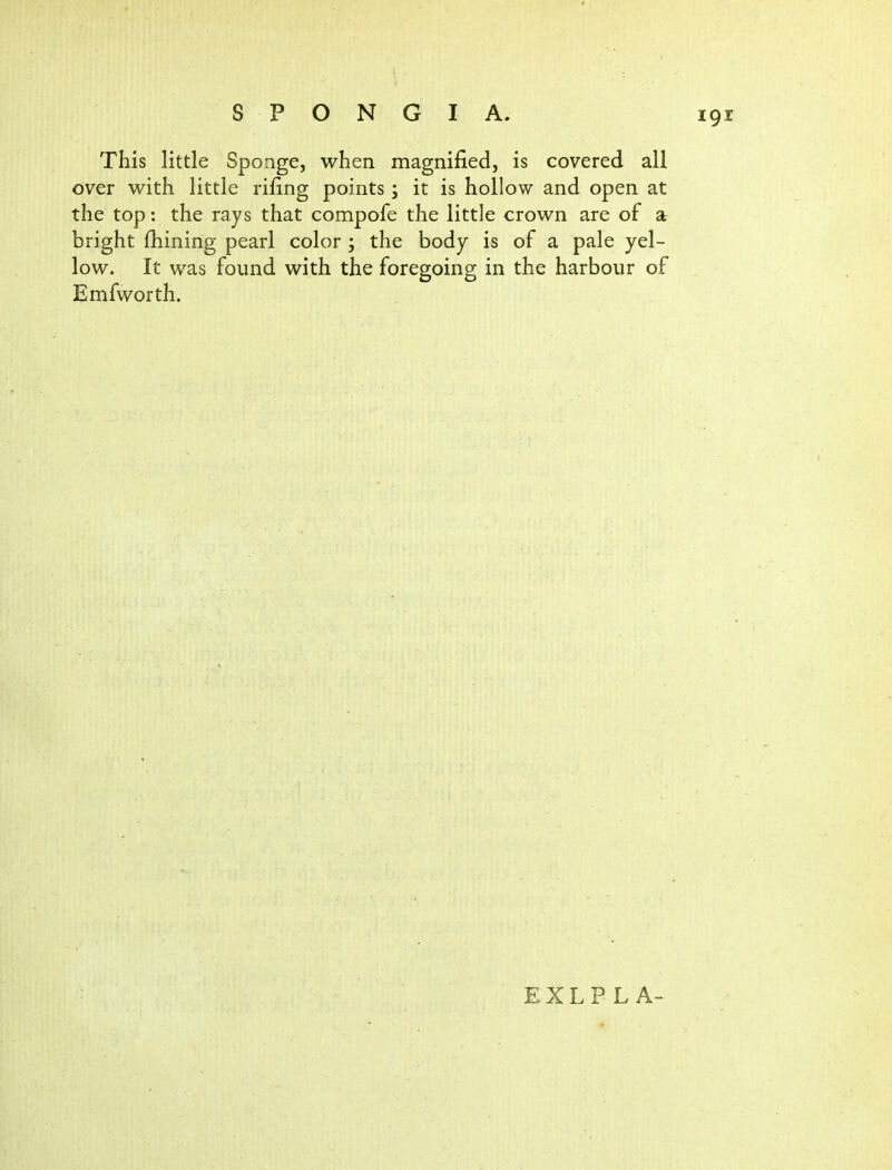 This little Sponge, when magnified, is covered all over with little rifing points; it is hollow and open at the top: the rays that compofe the little crown are of a bright fhining pearl color ; the body is of a pale yel- low. It was found with the foregoing in the harbour of Emfworth. EXLP L A-