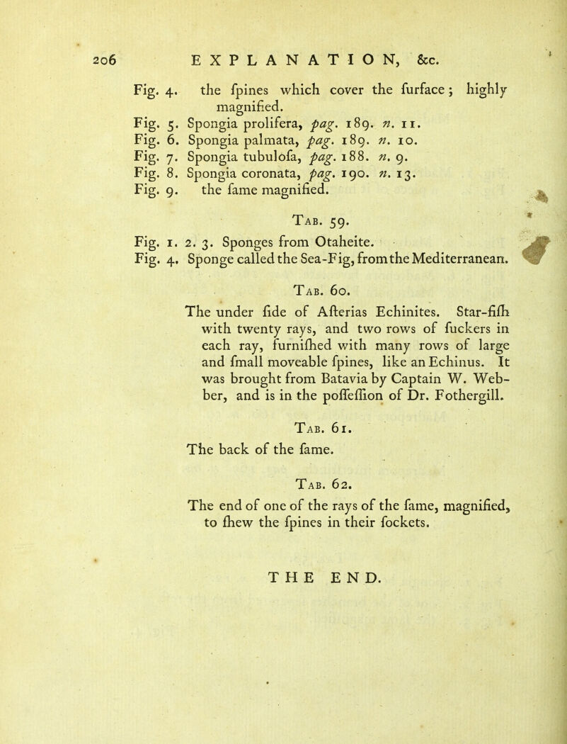 Fig. 4. the fpines which cover the furface; highly magnified. Fig. 5. Spongia prolifera, pag. 189. n. 11, Fig. 6. Spongia pahxiata, pag. 189. n. 10. Fig. 7. Spongia tubul^fa, pag. 188. n, 9. Fig. 8. Spongia coronata, pag, 190. 13. Fig. 9. the fame magnified. Tab. 59. Fig. I. 2. 3. Sponges from Otaheite. Fig. 4. Sponge called the Sea-Fig, from the Mediterranean* Tab. 60. The under fide of Aflerias Echinites. Star-fifh with twenty rays, and two rows of fuckers in each ray, furnifhed with many rows of large and fmall moveable fpines, like an Echinus. It was brought from Batavia by Captain W. Web- ber, and is in the pofTeflion of Dr. FothergilL Tab. 61. The back of the fame. Tab. 62. The end of one of the rays of the fame, magnified^ to fhew the fpines in their fockets. THE END.