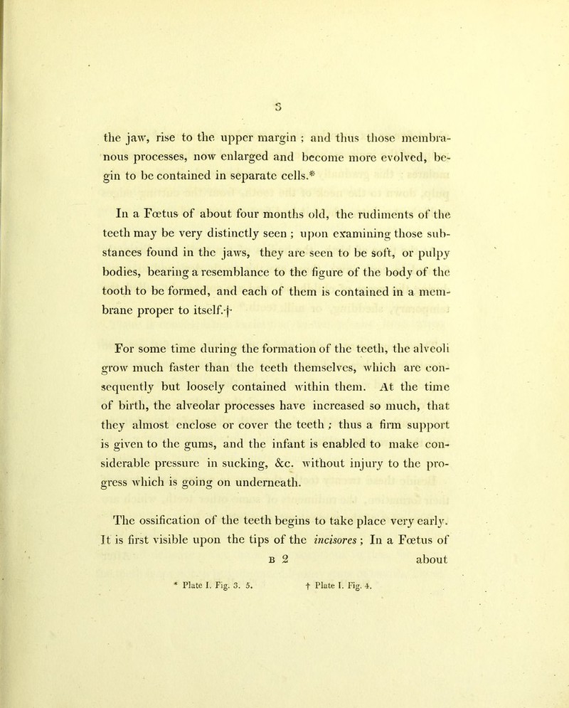 the jaw, rise to the upper margin ; and thus those membra- nous processes, now enlarged and become more evolved, be- gin to be contained in separate cells.* In a Foetus of about four months old, the rudiments of the teeth may be very distinctly seen ; upon examining those sub- stances found in the jaws, they are seen to be soft, or pulpy bodies, bearing a resemblance to the figure of the body of the tooth to be formed, and each of them is contained in a mem- brane proper to itself.-j- For some time during the formation of the teeth, the alveoli grow much faster than the teeth themselves, which are con- sequently but loosely contained within them. At the time of birth, the alveolar processes have increased so much, that they almost enclose or cover the teeth ; thus a firm support is given to the gums, and the infant is enabled to make con- siderable pressure in sucking, &c. without injury to the pro- gress which is going on underneath. The ossification of the teeth begins to take place very earty. Jt is first visible upon the tips of the incisores; In a Foetus of b 2 about