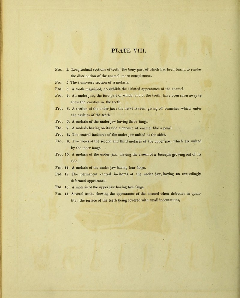 Fig. 1. Longitudinal sections of teeth, the bony part of which has been burnt, to render the distribution of the enamel more conspicuous. Fig. 2 The transverse section of a molaris. Fig. 3. A tooth magnified, to exhibit the striated appearance of the enamel. Fig. 4. An under jaw, the fore part of which, and of the teeth, have been sawn away to shew the cavities in the teeth. Fig. 5. A section of the under jaw; the nerve is seen, giving off branches which enter the cavities of the teeth. Fig. 6. A molaris of the under jaw having three fangs. Fig. 7. A molaris having on its side a deposit of enamel like a pearl. Fig. 8. The central incisores of the under jaw united at the sides. Fig. f). Two views of the second and third molares of the upper jaw, which are united by the inner fangs. Fig. 10. A molaris of the under jaw, having the crown of a bicuspis growing out of its side. Fig. 11. A molaris of the under jaw having four fangs. Fig. 12. The permanent central incisores of the under jaw, having an exceedingly deformed appearance. Fig. 13. A molaris of the upper jaw having five fangs. Fig. 14. Several teeth, shewing the appearance of the enamel when defective in quan- tity, the surface of the teeth being covered with small indentations,