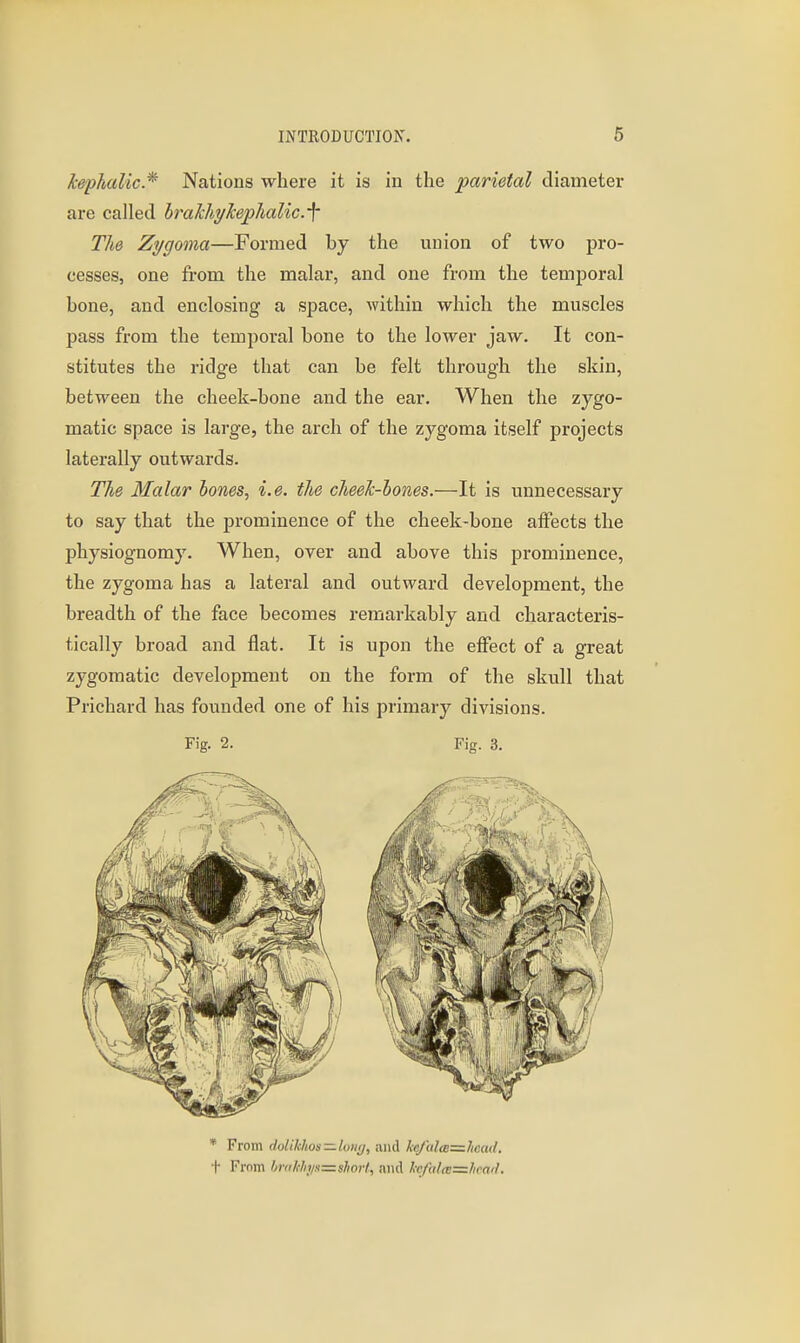 kephalic* Nations where it is in the parietal diameter are called brakhykephalic.-\- The Zygoma—Formed by the union of two pro- cesses, one from the malar, and one from the temijoral bone, and enclosing a space, within which the muscles pass from the temporal bone to the lower jaw. It con- stitutes the ridge that can be felt through the skin, between the cheek-bone and the ear. When the zygo- matic space is large, the arch of the zygoma itself projects laterally outwards. The Malar hones, i.e. the cheeh-lones.—It is unnecessary to say that the jjrominence of the cheek-bone aifects the physiognomy. When, over and above this prominence, the zygoma has a lateral and outward development, the breadth of the face becomes remarkably and characteris- tically broad and flat. It is upon the eifect of a great zygomatic development on the form of the skull that Prichard has founded one of his primary divisions. Fig. 2. Fig. 3. * From dolikJios—loiif/, and /ce/(ilcB=:Jioad. t From hr<il!liyx=shorl, and lcfal(e=hca<L