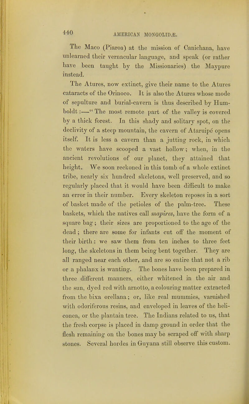 The Maco (Piaroa) at the mission of Canichana, have unlearned their vernacular language, and speak (or rather have been taught by the Missionaries) the Maypure instead. The Atures, now extinct, give their name to the Atures cataracts of the Orinoco. It is also the Atures whose mode of sepulture and burial-cavern is thus described by Hum- boldt :— The most remote part of the valley is covered by a thick forest. In this shady and solitary spot, on the declivity of a steep mountain, the cavern of Ataruipe opens itself. It is less a cavern than a jutting rock, in which the waters have scooped a vast hollow; when, in the ancient revolutions of our planet, they attained that height. We soon reckoned in this tomb of a whole extinct tribe, nearly six hundred skeletons, well preserved, and so regularly placed that it would have been difficult to make an error in their number. Every skeleton reposes in a sort of basket made of the petioles of the palm-tree. These baskets, which the natives call mapires, have the form of a square bag ; their sizes are proportioned to the age of the dead; there are some for infants cut off the moment of their birth: we saw them from ten inches to three feet long, the skeletons in them being bent together. They are all ranged near each other, and are so entire that not a rib or a phalanx is wanting. The bones have been prepared in three different manners, either whitened in the air and the sun, dyed red with arnotto, a colouring matter extracted from the bixa orellana; or, like real mummies, varnished with odoriferous resins, and enveloped in leaves of the heli- conea, or the plantain tree. The Indians related to us, that the fresh corpse is placed in damp ground in order that the flesh remaining on the bones may be scraped off with sharp stones. Several hordes in Guyana still observe this custom.