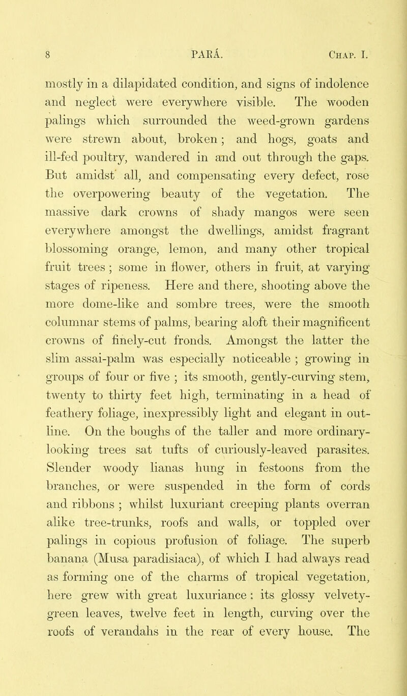 mostly in a dilapidated condition, and signs of indolence and neglect were everywhere visible. The wooden palings which surrounded the weed-grown gardens were strewn about, broken; and hogs, goats and ill-fed poultry, wandered in and out through the gaps. But amidst' all, and compensating every defect, rose the overpowering beauty of the vegetation. The massive dark crowns of shady mangos were seen everywhere amongst the dwellings, amidst fragrant blossoming orange, lemon, and many other tropical fruit trees ; some in flower, others in fruit, at varying stages of ripeness. Here and there, shooting above the more dome-like and sombre trees, were the smooth columnar stems of palms, bearing aloft their magnificent crowns of finely-cut fronds. Amongst the latter the slim assai-palm was especially noticeable ; growing in groups of four or five ; its smooth, gently-curving stem, twenty to thirty feet high, terminating in a head of feathery foliage, inexpressibly light and elegant in out- line. On the boughs of the taller and more ordinary- looking trees sat tufts of curiously-leaved parasites. Slender woody lianas hung in festoons from the branches, or were suspended in the form of cords and ribbons ; whilst luxuriant creeping plants overran alike tree-trunks, roofs and walls, or toppled over palings in copious profusion of foliage. The superb banana (Musa paradisiaca), of which I had always read as forming one of the charms of tropical vegetation, here grew with great luxuriance : its glossy velvety- green leaves, twelve feet in length, curving over the roofs of verandahs in the rear of every house. The