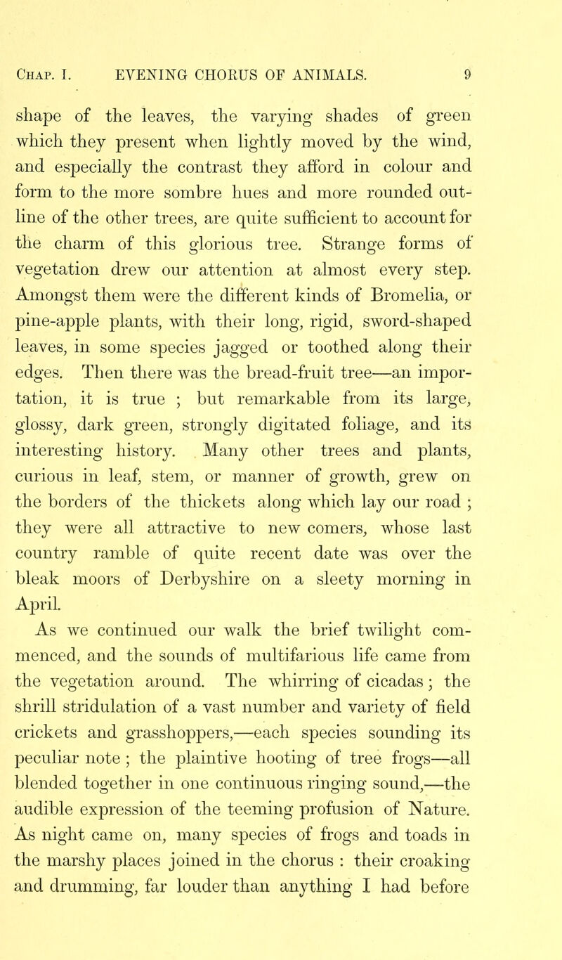 shape of the leaves, the varying shades of green which they present when lightly moved by the wind, and especially the contrast they afford in colour and form to the more sombre hues and more rounded out- line of the other trees, are quite sufficient to account for the charm of this glorious tree. Strange forms of vegetation drew our attention at almost every step. Amongst them were the different kinds of Bromelia, or pine-apple plants, with their long, rigid, sword-shaped leaves, in some species jagged or toothed along their edges. Then there was the bread-fruit tree—an impor- tation, it is true ; but remarkable from its large, glossy, dark green, strongly digitated foliage, and its interesting history. Many other trees and plants, curious in leaf, stem, or manner of growth, grew on the borders of the thickets along which lay our road ; they were all attractive to new comers, whose last country ramble of quite recent date was over the bleak moors of Derbyshire on a sleety morning in April. As we continued our walk the brief twilight com- menced, and the sounds of multifarious life came from the vegetation around. The whirring of cicadas ; the shrill stridulation of a vast number and variety of field crickets and grasshoppers,—each species sounding its peculiar note ; the plaintive hooting of tree frogs—all blended together in one continuous ringing sound,—the audible expression of the teeming profusion of Nature. As night came on, many species of frogs and toads in the marshy places joined in the chorus : their croaking and drumming, far louder than anything I had before
