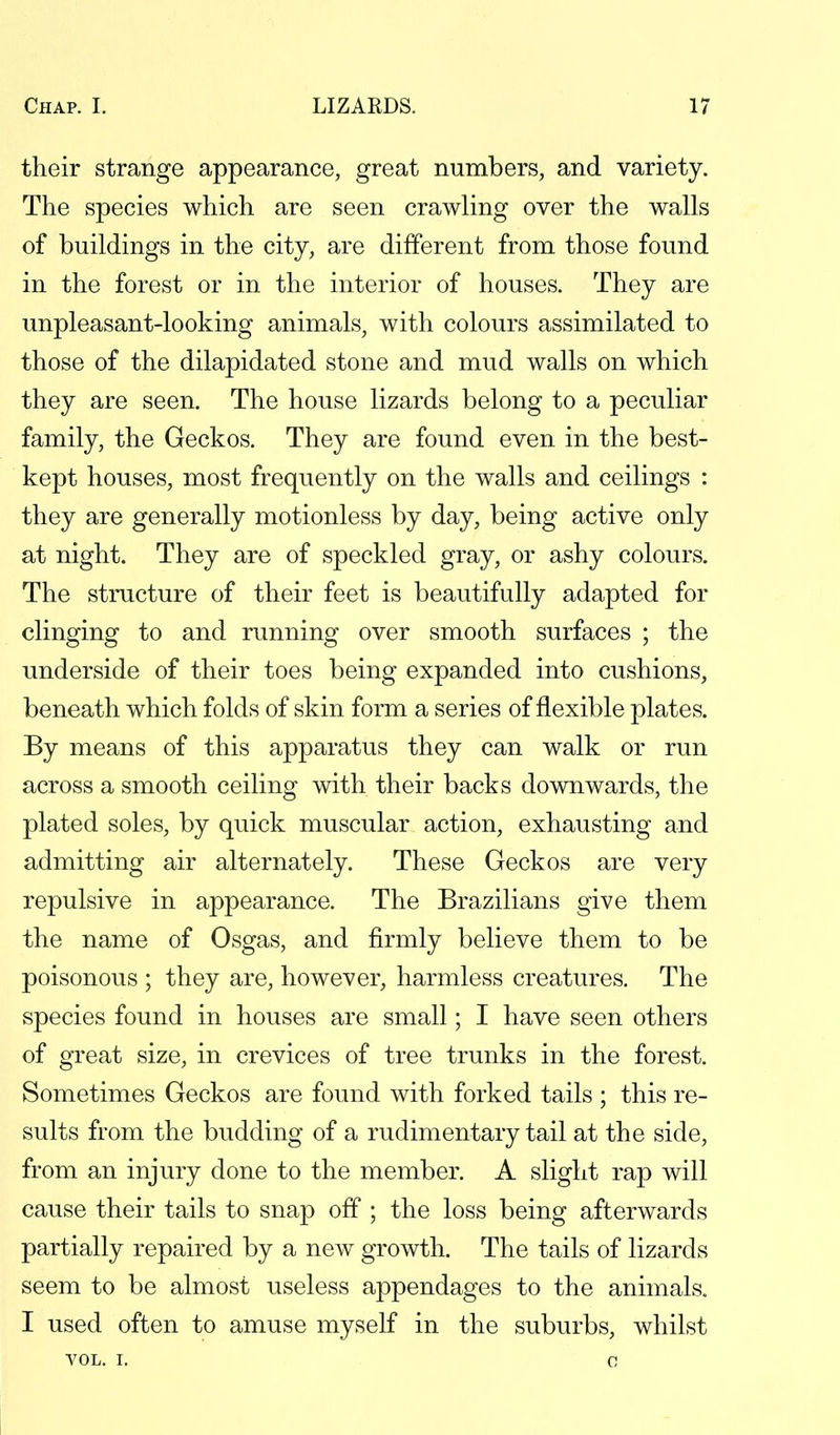 their strange appearance, great numbers, and variety. The species which are seen crawling over the walls of buildings in the city, are different from those found in the forest or in the interior of houses. They are unpleasant-looking animals, with colours assimilated to those of the dilapidated stone and mud walls on which they are seen. The house lizards belong to a peculiar family, the Geckos. They are found even in the best- kept houses, most frequently on the walls and ceilings : they are generally motionless by day, being active only at night. They are of speckled gray, or ashy colours. The structure of their feet is beautifully adapted for clinging to and running over smooth surfaces ; the underside of their toes being expanded into cushions, beneath which folds of skin form a series of flexible plates. By means of this apparatus they can walk or run across a smooth ceiling with their backs downwards, the plated soles, by quick muscular action, exhausting and admitting air alternately. These Geckos are very repulsive in appearance. The Brazilians give them the name of Osgas, and firmly believe them to be poisonous ; they are, however, harmless creatures. The species found in houses are small; I have seen others of great size, in crevices of tree trunks in the forest. Sometimes Geckos are found with forked tails ; this re- sults from the budding of a rudimentary tail at the side, from an injury done to the member. A slight rap will cause their tails to snap off ; the loss being afterwards partially repaired by a new growth. The tails of lizards seem to be almost useless appendages to the animals. I used often to amuse myself in the suburbs, whilst VOL. I. o