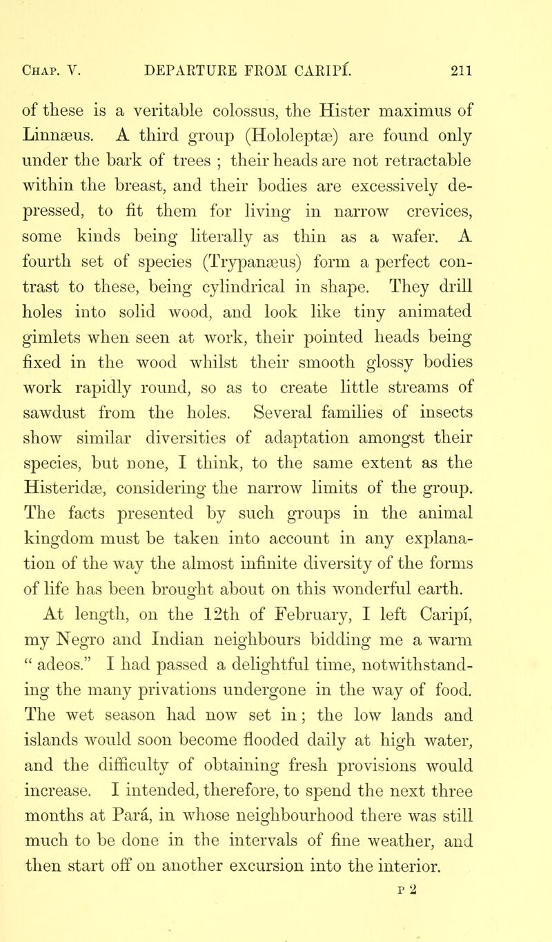 of these is a veritable colossus, the Hister maximus of Linnaeus. A third group (Hololeptae) are found only under the bark of trees ; their heads are not retractable within the breast, and their bodies are excessively de- pressed, to fit them for living in narrow crevices, some kinds being literally as thin as a wafer. A fourth set of species (Trypanseus) form a perfect con- trast to these, being cylindrical in shape. They drill holes into solid wood, and look like tiny animated gimlets when seen at work, their pointed heads being fixed in the wood whilst their smooth glossy bodies work rapidly round, so as to create little streams of sawdust from the holes. Several families of insects show similar diversities of adaptation amongst their species, but none, I think, to the same extent as the Histeridse, considering the narrow limits of the group. The facts presented by such groups in the animal kingdom must be taken into account in any explana- tion of the way the almost infinite diversity of the forms of life has been brought about on this wonderful earth. At length, on the 12th of February, I left Caripi, my Negro and Indian neighbours bidding me a warm  adeos. I had passed a delightful time, notwithstand- ing the many privations undergone in the way of food. The wet season had now set in; the low lands and islands would soon become flooded daily at high water, and the difficulty of obtaining fresh provisions would increase. I intended, therefore, to spend the next three months at Para, in whose neighbourhood there was still much to be done in the intervals of fine weather, and then start off on another excursion into the interior. p 2