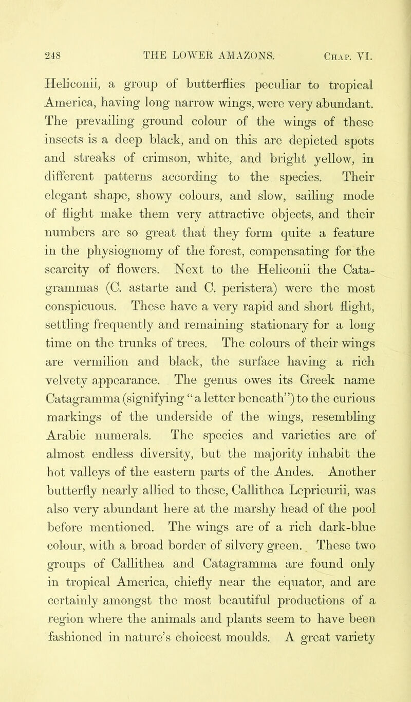 Heliconii, a group of butterflies peculiar to tropical America, having long narrow wings, were very abundant. The prevailing ground colour of the wings of these insects is a deep black, and on this are depicted spots and streaks of crimson, white, and bright yellow, in different patterns according to the species. Their elegant shape, showy colours, and slow, sailing mode of flight make them very attractive objects, and their numbers are so great that they form quite a feature in the physiognomy of the forest, compensating for the scarcity of flowers. Next to the Heliconii the Cata- grammas (C. astarte and C. peristera) were the most conspicuous. These have a very rapid and short flight, settling frequently and remaining stationary for a long time on the trunks of trees. The colours of their wings are vermilion and black, the surface having a rich velvety appearance. The genus owes its Greek name Catagramma (signifying  a letter beneath) to the curious markings of the underside of the wings, resembling Arabic numerals. The species and varieties are of almost endless diversity, but the majority inhabit the hot valleys of the eastern parts of the Andes. Another butterfly nearly allied to these, Callithea Leprieurii, was also very abundant here at the marshy head of the pool before mentioned. The wings are of a rich dark-blue colour, with a broad border of silvery green. These two groups of Callithea and Catagramma are found only in tropical America, chiefly near the equator, and are certainly amongst the most beautiful productions of a region where the animals and plants seem to have been fashioned in nature's choicest moulds. A great variety