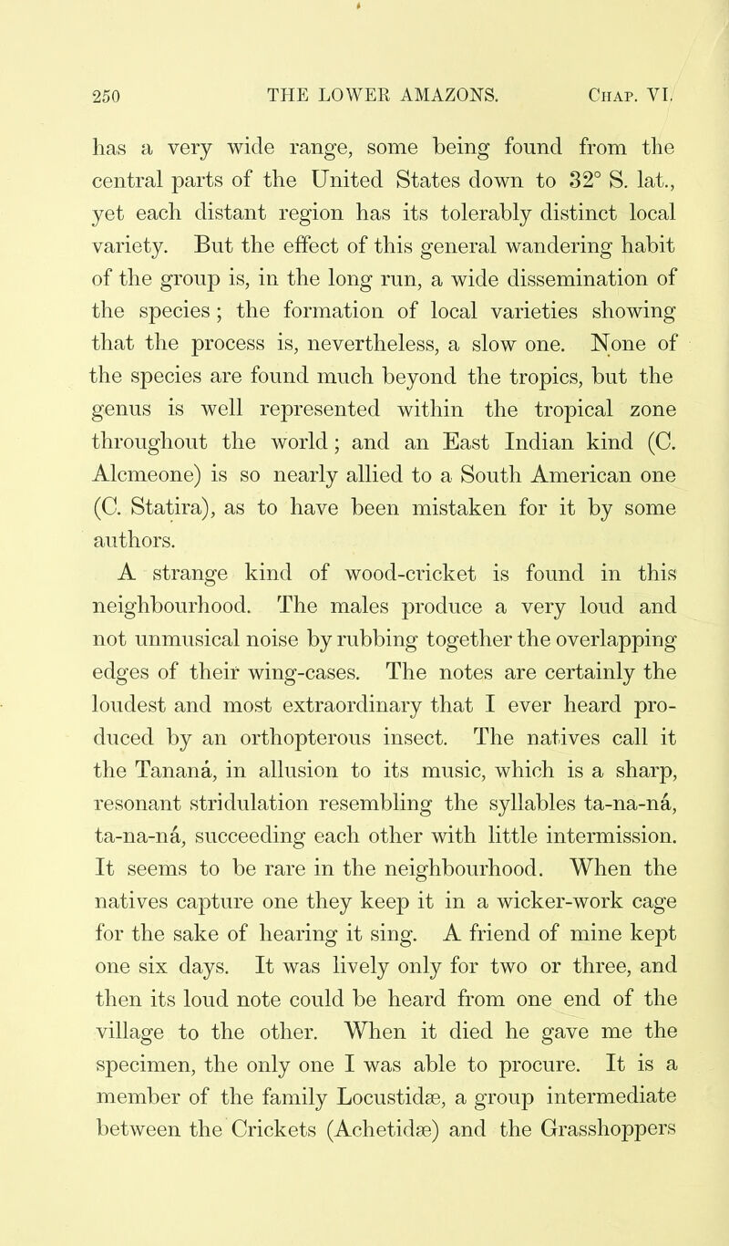 has a very wide range, some being found from the central parts of the United States down to 32° S. lat., yet each distant region has its tolerably distinct local variety. But the effect of this general wandering habit of the group is, in the long run, a wide dissemination of the species ; the formation of local varieties showing that the process is, nevertheless, a slow one. None of the species are found much beyond the tropics, but the genus is well represented within the tropical zone throughout the world; and an East Indian kind (C. Alcmeone) is so nearly allied to a South American one (C. Statira), as to have been mistaken for it by some authors. A strange kind of wood-cricket is found in this neighbourhood. The males produce a very loud and not unmusical noise by rubbing together the overlapping edges of their wing-cases. The notes are certainly the loudest and most extraordinary that I ever heard pro- duced by an orthopterous insect. The natives call it the Tanana, in allusion to its music, which is a sharp, resonant stridulation resembling the syllables ta-na-na, ta-na-na, succeeding each other with little intermission. It seems to be rare in the neighbourhood. When the natives capture one they keep it in a wicker-work cage for the sake of hearing it sing. A friend of mine kept one six days. It was lively only for two or three, and then its loud note could be heard from one end of the village to the other. When it died he gave me the specimen, the only one I was able to procure. It is a member of the family Locustidss, a group intermediate between the Crickets (Achetidse) and the Grasshoppers