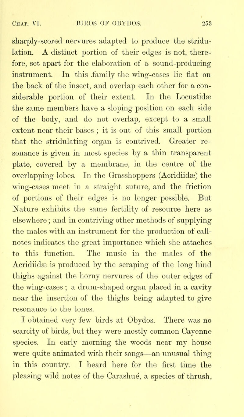 sharply-scored nervures adapted to produce the stimu- lation. A distinct portion of their edges is not, there- fore, set apart for the elaboration of a sound-producing instrument. In this .family the wing-cases lie flat on the back of the insect, and overlap each other for a con- siderable portion of their extent. In the Locustidse the same members have a sloping position on each side of the body, and do not overlap, except to a small extent near their bases ; it is out of this small portion that the stridulating organ is contrived. Greater re- sonance is given in most species by a thin transparent plate, covered by a membrane, in the centre of the overlapping lobes. In the Grasshoppers (Acridiidse) the wing-cases meet in a straight suture, and the friction of portions of their edges is no longer possible. But Nature exhibits the same fertility of resource here as elsewhere; and in contriving other methods of supplying the males with an instrument for the production of call- notes indicates the great importance which she attaches to this function. The music in the males of the Acridiidse is produced by the scraping of the long hind thighs against the horny nervures of the outer edges of the wing-cases ; a drum-shaped organ placed in a cavity near the insertion of the thighs being adapted to give resonance to the tones. I obtained very few birds at Obydos. There was no scarcity of birds, but they were mostly common Cayenne species. In early morning the woods near my house were quite animated with their songs—an unusual thing in this country. I heard here for the first time the pleasing wild notes of the Carashue, a species of thrush,