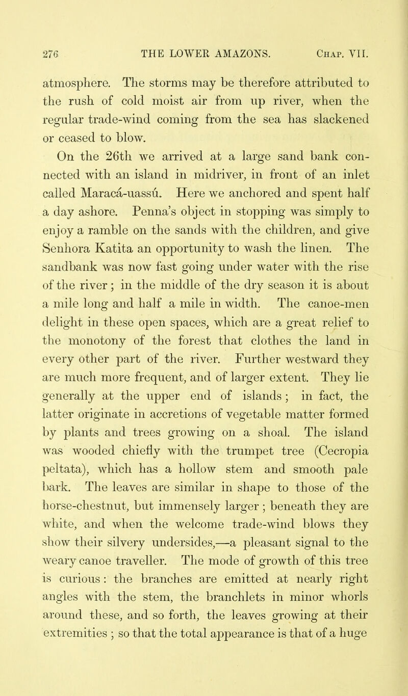 atmosphere. The storms may be therefore attributed to the rush of cold moist air from up river, when the regular trade-wind coming from the sea has slackened or ceased to blow. On the 26th we arrived at a large sand bank con- nected with an island in midriver, in front of an inlet called Maraca-uassu. Here we anchored and spent half a day ashore. Penna's object in stopping was simply to enjoy a ramble on the sands with the children, and give Senhora Katita an opportunity to wash the linen. The sandbank was now fast going under water with the rise of the river; in the middle of the dry season it is about a mile long and half a mile in width. The canoe-men delight in these open spaces, which are a great relief to the monotony of the forest that clothes the land in every other part of the river. Further westward they are much more frequent, and of larger extent. They lie generally at the upper end of islands ; in fact, the latter originate in accretions of vegetable matter formed by plants and trees growing on a shoal. The island was wooded chiefly with the trumpet tree (Cecropia peltata), which has a hollow stem and smooth pale hark. The leaves are similar in shape to those of the horse-chestnut, but immensely larger ; beneath they are white, and when the welcome trade-wind blows they show their silvery undersides,—a pleasant signal to the weary canoe traveller. The mode of growth of this tree is curious: the branches are emitted at nearly right angles with the stem, the branchlets in minor whorls around these, and so forth, the leaves growing at their extremities ; so that the total appearance is that of a huge
