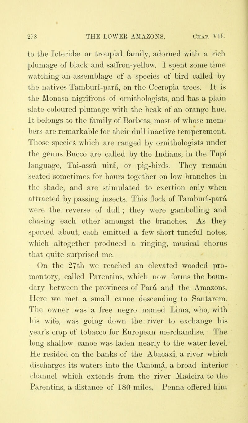 to the Icteridse or troupial family, adorned with a rich plumage of black and saffron-yellow. I spent some time watching an assemblage of a species of bird called by the natives Tamburi-para, on the Cecropia trees. It is the Monasa nigrifrons of ornithologists, and has a plain slate-coloured plumage with the beak of an orange hue. It belongs to the family of Barbets, most of whose mem- bers are remarkable for their dull inactive temperament. Those species' which are ranged by ornithologists under the genus Bucco are called by the Indians, in the Tupi language, Tai-assu uira, or pig-birds. They remain seated sometimes for hours together on low branches in the shade, and are stimulated to exertion only when attracted by passing insects. This flock of Tamburi-para were the reverse of dull; they were gambolling and chasing each other amongst the branches. As they sported about, each emitted a few short tuneful notes, which altogether produced a ringing, musical chorus that quite surprised me. On the 27th we reached an elevated wooded pro- montory, called Parentins, which now forms the boun- dary between the provinces of Para and the Amazons. Here we met a small canoe descending to Santarem. The owner was a free negro named Lima, who, with his wife, was going down the river to exchange his year's crop of tobacco for European merchandise. The long shallow canoe was laden nearly to the water level. He resided on the banks of the Abacaxi, a river which discharges its waters into the Canoma, a broad interior channel which extends from the river Madeira to the Parentins, a distance of 180 miles, Penna offered him