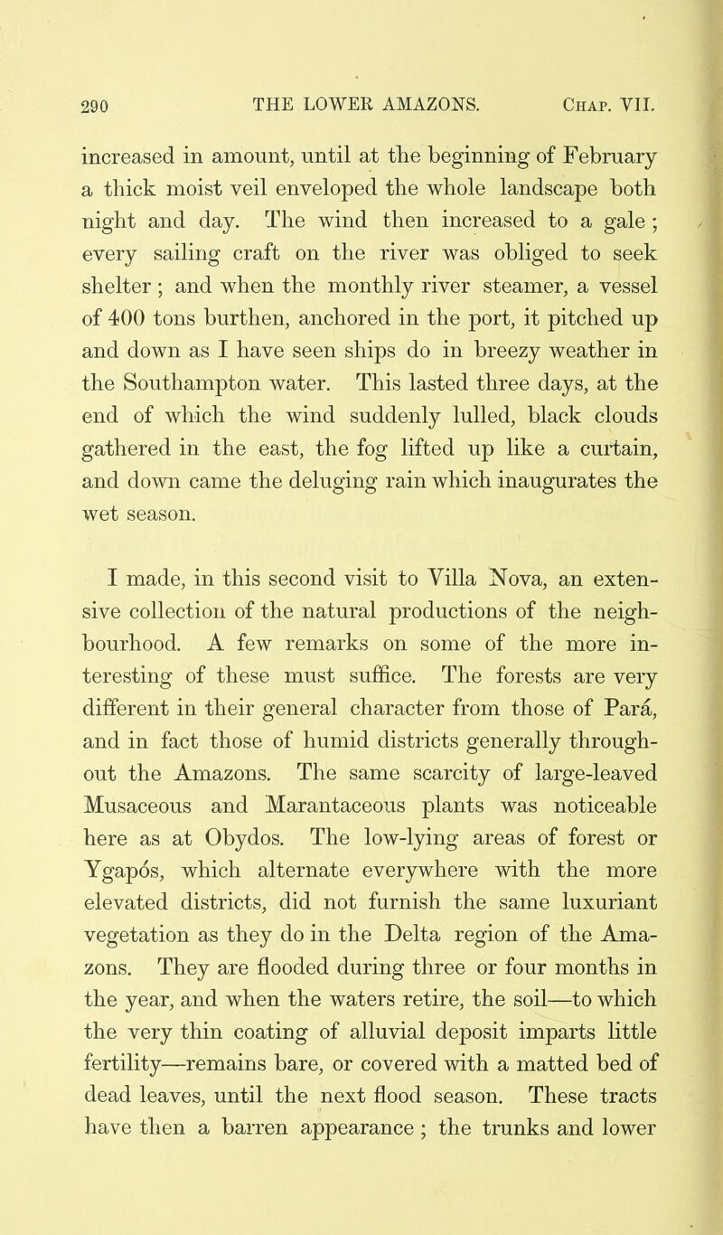 increased in amount, until at the beginning of February a thick moist veil enveloped the whole landscape both night and day. The wind then increased to a gale ; every sailing craft on the river was obliged to seek shelter; and when the monthly river steamer, a vessel of 400 tons burthen, anchored in the port, it pitched up and down as I have seen ships do in breezy weather in the Southampton water. This lasted three days, at the end of which the wind suddenly lulled, black clouds gathered in the east, the fog lifted up like a curtain, and down came the deluging rain which inaugurates the wet season. I made, in this second visit to Villa Nova, an exten- sive collection of the natural productions of the neigh- bourhood. A few remarks on some of the more in- teresting of these must suffice. The forests are very different in their general character from those of Para, and in fact those of humid districts generally through- out the Amazons. The same scarcity of large-leaved Musaceous and Marantaceous plants was noticeable here as at Obydos. The low-lying areas of forest or Ygapos, which alternate everywhere with the more elevated districts, did not furnish the same luxuriant vegetation as they do in the Delta region of the Ama- zons. They are flooded during three or four months in the year, and when the waters retire, the soil—to which the very thin coating of alluvial deposit imparts little fertility—remains bare, or covered with a matted bed of dead leaves, until the next flood season. These tracts have then a barren appearance; the trunks and lower