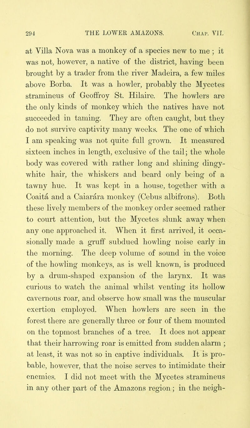 at Villa Nova was a monkey of a species new to me ; it was not, however, a native of the district, having been brought by a trader from the river Madeira, a few miles above Borba. It was a howler, probably the Mycetes stramineus of Geoffroy St. Hilaire. The howlers are the only kinds of monkey which the natives have not succeeded in taming. They are often caught, but they do not survive captivity many weeks. The one of which I am speaking was not quite full grown. It measured sixteen inches in length, exclusive of the tail; the whole body was covered with rather long and shining dingy- white hair, the whiskers and beard only being of a tawny hue. It was kept in a house, together with a Coaita and a Caiarara monkey (Cebus albifrons). Both these lively members of the monkey order seemed rather to court attention, but the Mycetes slunk away when any one approached it. When it first arrived, it occa- sionally made a gruff subdued howling noise early in the morning. The deep volume of sound in the voice of the howling monkeys, as is well known, is produced by a drum-shaped expansion of the larynx. It was curious to watch the animal whilst venting its hollow cavernous roar, and observe how small was the muscular exertion employed. When howlers are seen in the forest there are generally three or four of them mounted on the topmost branches of a tree. It does not appear that their harrowing roar is emitted from sudden alarm ; at least, it was not so in captive individuals. It is pro- bable, however, that the noise serves to intimidate their enemies. I did not meet with the Mycetes stramineus in any other part of the Amazons region; in the neigh-