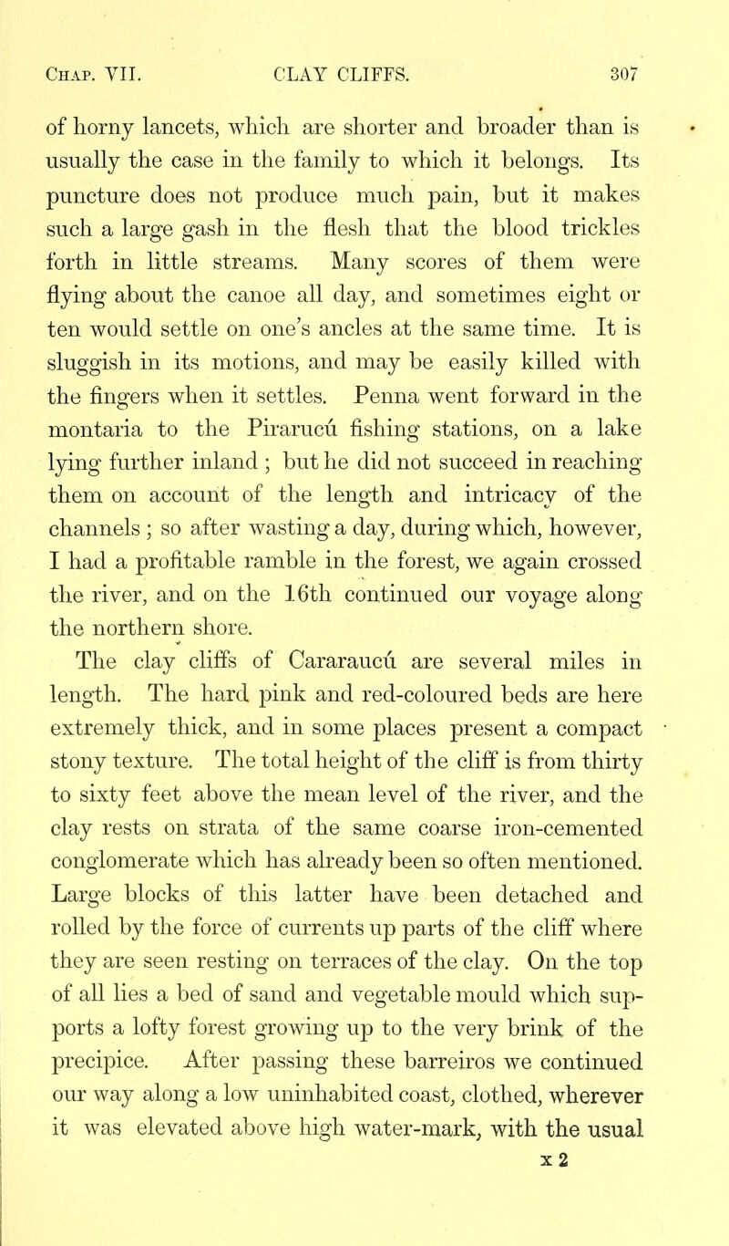 of horny lancets, which are shorter and broader than is usually the case in the family to which it belongs. Its puncture does not produce much pain, but it makes such a large gash in the flesh that the blood trickles forth in little streams. Many scores of them were flying about the canoe all day, and sometimes eight or ten would settle on one's ancles at the same time. It is sluggish in its motions, and may be easily killed with the fingers when it settles. Penna went forward in the montaria to the Pirarucu fishing stations, on a lake lying further inland ; but he did not succeed in reaching them on account of the length and intricacy of the channels ; so after wasting a day, during which, however, I had a profitable ramble in the forest, we again crossed the river, and on the 16th continued our voyage along the northern shore. The clay cliffs of Cararaucu. are several miles in length. The hard pink and red-coloured beds are here extremely thick, and in some places present a compact stony texture. The total height of the cliff is from thirty to sixty feet above the mean level of the river, and the clay rests on strata of the same coarse iron-cemented conglomerate which has already been so often mentioned. Large blocks of this latter have been detached and rolled by the force of currents up parts of the cliff where they are seen resting on terraces of the clay. On the top of all lies a bed of sand and vegetable mould which sup- ports a lofty forest growing up to the very brink of the precipice. After passing these barreiros we continued our way along a low uninhabited coast, clothed, wherever it was elevated above high water-mark, with the usual x2