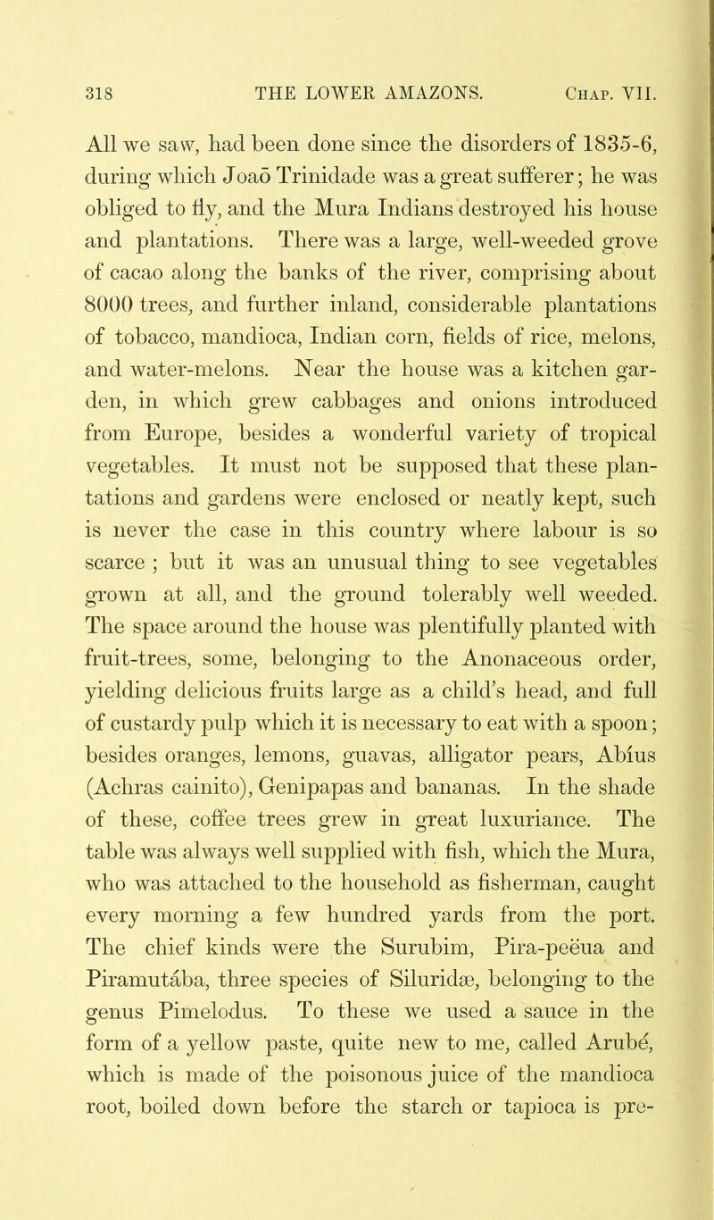 All we saw, had been done since the disorders of 1835-6, during which Joao Trinidade was a great sufferer; he was obliged to fly, and the Mura Indians destroyed his house and plantations. There was a large, well-weeded grove of cacao along the banks of the river, comprising about 8000 trees, and further inland, considerable plantations of tobacco, mandioca, Indian corn, fields of rice, melons, and water-melons. Near the house was a kitchen gar- den, in which grew cabbages and onions introduced from Europe, besides a wonderful variety of tropical vegetables. It must not be supposed that these plan- tations and gardens were enclosed or neatly kept, such is never the case in this country where labour is so scarce ; but it was an unusual thing to see vegetables grown at all, and the ground tolerably well weeded. The space around the house was plentifully planted with fruit-trees, some, belonging to the Anonaceous order, yielding delicious fruits large as a child's head, and full of custardy pulp which it is necessary to eat with a spoon; besides oranges, lemons, guavas, alligator pears, Abius (Achras cainito), Genipapas and bananas. In the shade of these, coffee trees grew in great luxuriance. The table was always well supplied with fish, which the Mura, who was attached to the household as fisherman, caught every morning a few hundred yards from the port. The chief kinds were the Surubim, Pira-peeua and Piramutaba, three species of Siluridse, belonging to the genus Pimelodus. To these we used a sauce in the form of a yellow paste, quite new to me, called Arube, which is made of the poisonous juice of the mandioca root, boiled down before the starch or tapioca is pre-
