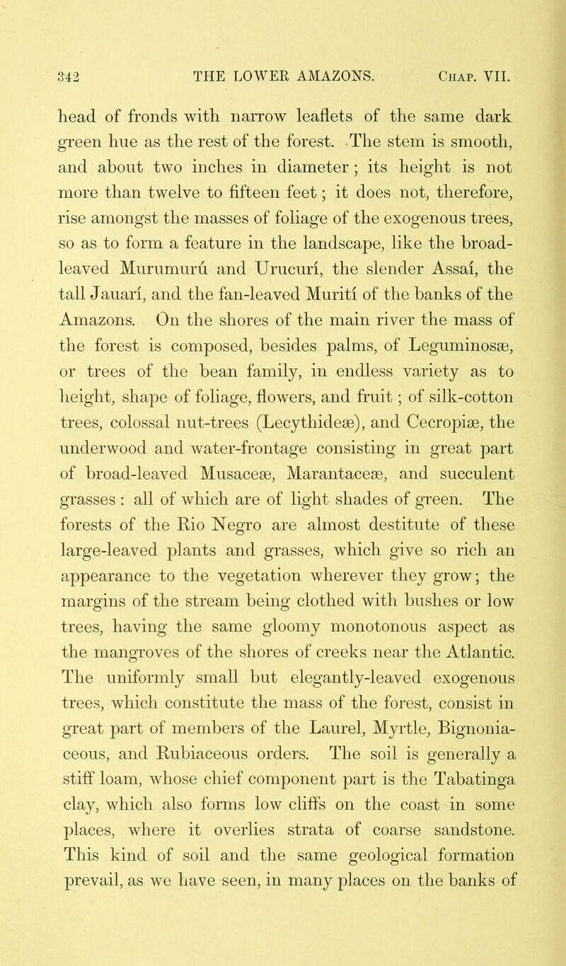 head of fronds with narrow leaflets of the same dark green hue as the rest of the forest. The stem is smooth, and about two inches in diameter; its height is not more than twelve to fifteen feet; it does not, therefore, rise amongst the masses of foliage of the exogenous trees, so as to form a feature in the landscape, like the broad- leaved Murumuru and Urucuri, the slender Assai, the tall Jauari, and the fan-leaved Muriti of the banks of the Amazons. On the shores of the main river the mass of the forest is composed, besides palms, of LeguminosaB, or trees of the bean family, in endless variety as to height, shape of foliage, flowers, and fruit; of silk-cotton trees, colossal nut-trees (Lecythidese), and Cecropias, the underwood and water-frontage consisting in great part of broad-leaved Musaceae, Marantaceae, and succulent grasses : all of which are of light shades of green. The forests of the Rio Negro are almost destitute of these large-leaved plants and grasses, which give so rich an appearance to the vegetation wherever they grow; the margins of the stream being clothed with bushes or low trees, having the same gloomy monotonous aspect as the mangroves of the shores of creeks near the Atlantic. The uniformly small but elegantly-leaved exogenous trees, which constitute the mass of the forest, consist in great part of members of the Laurel, Myrtle, Bignonia- ceous, and Rubiaceous orders. The soil is generally a stiff loam, whose chief component part is the Tabatinga clay, which also forms low cliffs on the coast in some places, where it overlies strata of coarse sandstone. This kind of soil and the same geological formation prevail, as we have seen, in many places on the banks of