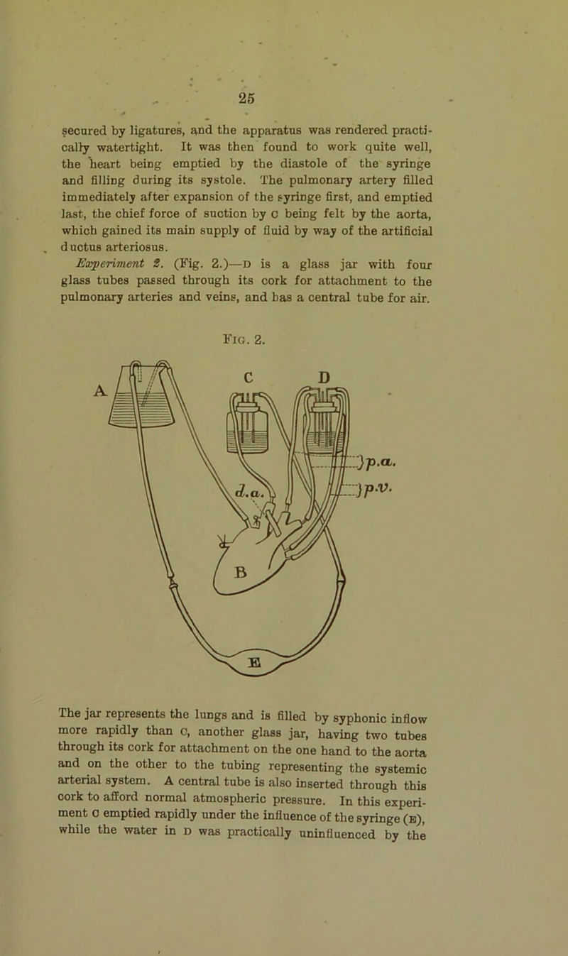 secured by ligatures, and the apparatus was rendered practi- cally watertight. It was then found to work quite well, the heart being emptied by the diastole of the syringe and filling during its systole. The pulmonary artery filled immediately after expansion of the syringe first, and emptied last, the chief force of suction by o being felt by the aorta, which gained its main supply of fluid by way of the artificial d uctus arteriosus. Experiment S. (Fig. 2.)—D is a glass jar with four glass tubes passed through its cork for attachment to the pulmonary arteries and veins, and has a central tube for air. Fig. 2. The jar represents the lungs and is filled by syphonic inflow more rapidly than c, another glass jar, having two tubes through its cork for attachment on the one hand to the aorta and on the other to the tubing representing the systemic arterial system. A central tube is also inserted through this cork to afford normal atmospheric pressure. In this experi- ment 0 emptied rapidly under the influence of the syringe (b), while the water in d was practically uninfluenced by the
