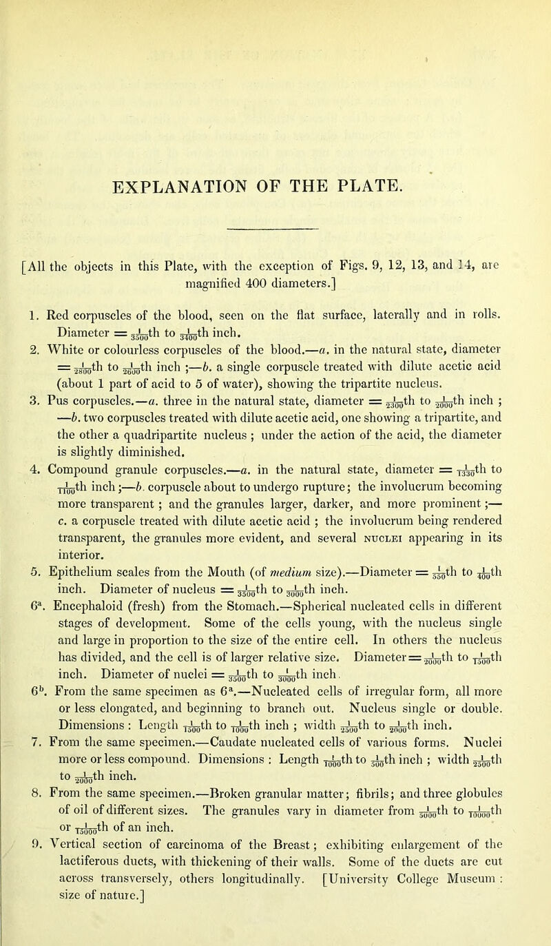 EXPLANATION OF THE PLATE. [All the objects in this Plate, with the exception of Figs. 9, 12, 13, and 14, are magnified 400 diameters.] 1. Red corpuscles of the blood, seen on the flat surface, laterally and in rolls. Diameter = 3JL_th to gj^th inch. 2. White or colourless corpuscles of the blood.—a. in the natural state, diameter = t0 asroth >ncl> !—b. a single corpuscle treated with dilute acetic acid (about 1 part of acid to 5 of water), showing the tripartite nucleus. 3. Pus corpuscles.—a. three in the natural state, diameter = ^th to ^th inch ; —b. two corpuscles treated with dilute acetic acid, one showing a tripartite, and the other a quadripartite nucleus ; under the action of the acid, the diameter is slightly diminished. 4. Compound granule corpuscles.—a. in the natural state, diameter = j^th to •jgLjth inch;—b. corpuscle about to undergo rupture; the involucrum becoming more transparent; and the granules larger, darker, and more prominent;— c. a corpuscle treated with dilute acetic acid ; the involucrum being rendered transparent, the granules more evident, and several nuclei appearing in its interior. 5. Epithelium scales from the Mouth (of medium size).—Diameter = j]gth to ^th inch. Diameter of nucleus = j^gth to^th inch. Ga. Enccphaloid (fresh) from the Stomach.—Spherical nucleated cells in different stages of development. Some of the cells young, with the nucleus single and large in proportion to the size of the entire cell. In others the nucleus has divided, and the cell is of larger relative size. Diameter = j^th to -^th inch. Diameter of nuclei = gjggth to —th inch 6b. From the same specimen as 6a.—Nucleated cells of irregular form, all more or less elongated, and beginning to branch out. Nucleus single or double. Dimensions : Length -j^gth to fgggth inch ; width g^gth to gg^th inch. 7. From the same specimen.—Caudate nucleated cells of various forms. Nuclei more or less compound. Dimensions : Length -j^th to Jjth inch ; width .2Jroth t0 5500th inch- 8. From the same specimen.—Broken granular matter; fibrils; and three globules of oil of different sizes. The granules vary in diameter from jJggth to Tggggth or tggggth of an inch. 9. Vertical section of carcinoma of the Breast; exhibiting enlargement of the lactiferous ducts, with thickening of their walls. Some of the ducts are cut across transversely, others longitudinally. [University College Museum : size of nature.]