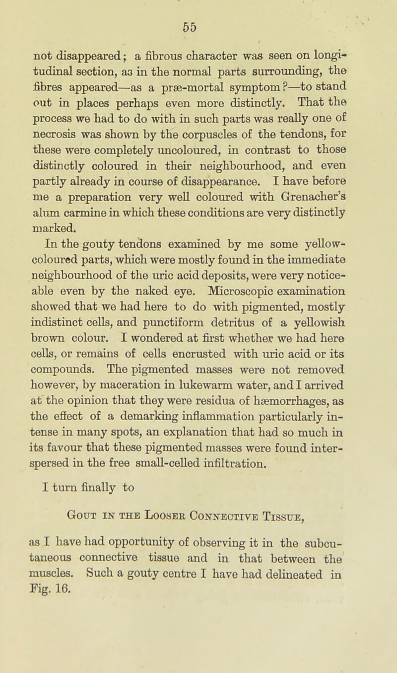 not disappeared; a fibrous character was seen on longi- tudinal section, as in the normal parts surrounding, the fibres appeared—as a prse-mortal symptom ?—to stand out in places perhaps even more distinctly. That the process we had to do with in such parts was really one of necrosis was shown by the corpuscles of the tendons, for these were completely uncoloured, in contrast to those distinctly coloured in their neighbourhood, and even partly already in course of disappearance. I have before me a preparation very well coloured with Grenacher’s alum carmine in which these conditions are very distinctly marked. In the gouty tendons examined by me some yellow- coloured parts, which were mostly found in the immediate neighbourhood of the uric acid deposits, were very notice- able even by the naked eye. Microscopic examination showed that we had here to do with pigmented, mostly indistinct cells, and punctiform detritus of a yellowish brown colour. I wondered at first whether we had here cells, or remains of cells encrusted with uric acid or its compounds. The pigmented masses were not removed however, by maceration in lukewarm water, and I arrived at the opinion that they were residua of haemorrhages, as the effect of a demarking inflammation particularly in- tense in many spots, an explanation that had so much in its favour that these pigmented masses were found inter- spersed in the free small-celled infiltration. I turn finally to Gout in the Looser Connective Tissue, as I have had opportunity of observing it in the subcu- taneous connective tissue and in that between the muscles. Such a gouty centre I have had delineated in Fig. 16.