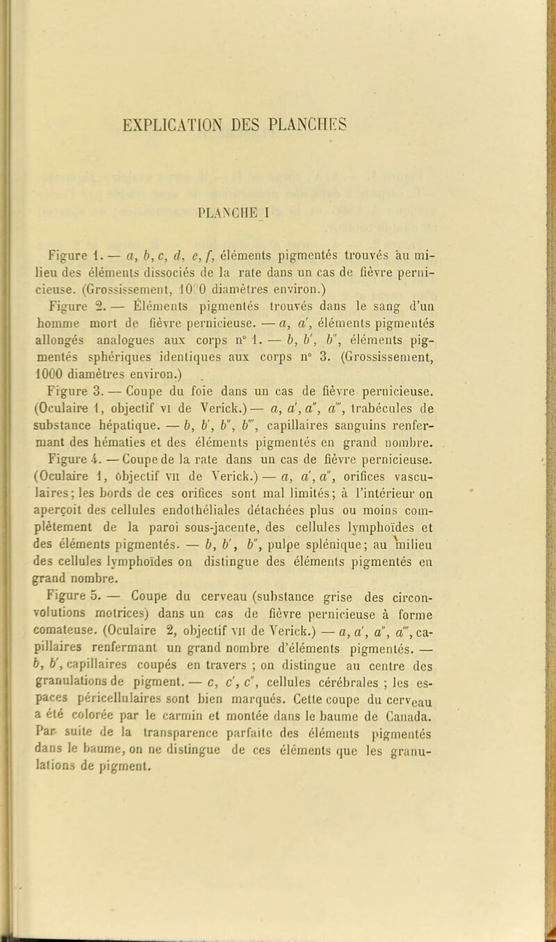 PLANCHE I Figure 1.— a, b,c, d, e, f, éléments pigmentés trouvés 'au mi- lieu des éléments dissociés de la rate dans un cas de lièvre perni- cieuse. (Grossissement, 10 0 diamètres environ.) Figure 2. — Éléments pigmentés trouvés dans le sang d’un homme mort de lièvre pernicieuse. —a, a, éléments pigmentés allongés analogues aux corps n° 1. — b, b', b, éléments pig- mentés sphériques identiques aux corps n° 3. (Grossissement, 1000 diamètres environ.) Figure 3. — Coupe du foie dans un cas de lièvre pernicieuse. (Oculaire \, objectif vi de Verick.)— a, a', a, d, trabécules de substance hépatique. — b, b', b, b'”, capillaires sanguins renfer- mant des hématies et des éléments pigmentés en grand nombre. Figure 4. — Coupe de la rate dans un cas de fièvre pernicieuse. (Oculaire 1, Objectif vit de Verick.) — a, a', a, orifices vascu- laires; les bords de ces orifices sont mal limités; à l’intérieur on aperçoit des cellules endothéliales détachées plus ou moins com- plètement de la paroi sous-jacente, des cellules lymphoïdes et des éléments pigmentés. — b, b', b, pulpe splénique; au milieu des cellules lymphoïdes on distingue des éléments pigmentés en grand nombre. Figure o. — Coupe du cerveau (substance grise des circon- volutions motrices) dans un cas de fièvre pernicieuse à forme comateuse. (Oculaire 2, objectif vu de Verick.) — a, a, a, d, ca- pillaires renfermant un grand nombre d’éléments pigmentés. — b, b', capillaires coupés en travers ; on distingue au centre des granulations de pigment. — c, c', c, cellules cérébrales ; les es- paces péricellulaires sont bien marqués. Cette coupe du cervcau a été colorée par le carmin et montée dans le baume de Canada. Par suite de la transparence parfaite des éléments pigmentés dans le baume, on ne distingue de ces éléments que les granu- lations de pigment.