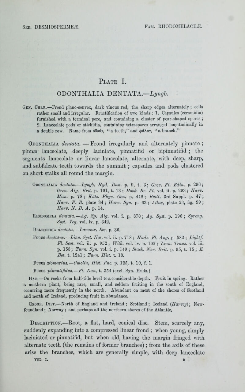 Plate I. ODONTHALIA DENTATA.—Lyngb. Gen. Char.—Frond plano-convex, dark vinous red, the sharp edges alternately ; cells rather small and irregular. Fructification of two kinds : 1. Capsules (ceramidia) furnished with a terminal pore, and containing a cluster of pear-shaped spores; 2. Lanceolate pods or stichidia, containing tetraspores arranged longitudinally in a double row. Name from o5oi)r, “a tooth,” and (paAos, “a branch.” Odonthalia dentata. — Frond irregularly and alternately pinnate ; pinnae lanceolate, deeply laciniate, pinnatifid or bipinnatifid ; the segments lanceolate or linear lanceolate, alternate, with deep, sharp, and subfalcate teeth towards the summit \ capsules and pods clustered on short stalks all round the margin. Odonthalia dentata.—Lyngb. Hyd. Dan. p. 9, t. 3; Grev. FI. Edin. p. 296 ; Grev. Alg. Brit. p. 101, t. 13 ; HooJc. Br. FI. vol. ii. p. 293 ; Harv. Man. p. 78; Kiitz. Phyc. Gen. p. 448 ; Endl. 3rd Suppl. p. 47 ; Harv. P. B. plate 34; Harv. Syn. p. 63; Atlas, plate 23, fig. 99 ; Harv. N. B. A. p. 14. Rhodomela dentata.—Ag. Sp. Alg. vol. i. p. 370 ; Ag. Syst. p. 196 ; Spreng. Syst. Veg. vol. iv. p. 342. Delesseria dentata.—Lamour. Ess. p. 36. Fucus dentatus.—Linn. Syst. Nat. vol. ii. p. 718 ; Huds. FI. Ang. p. 582 ; Lightf. FI. Scot. vol. ii. p. 952 ; With. vol. iv. p. 102 ; Linn. Trans, vol. iii. p. 158; Turn. Syn. vol. i. p. 149 ; Stack. Ner. Brit. p. 95, t. 15; E. Bot. t. 1241; Turn. Hist. t. 13. Fucus atomarius.—Gmelin, Hist. Fuc. p. 125, t. 10, f. 1. Fucus pinnatijidus.—FI. Dan. t. 354 (excl. Syn. Huds.) Hab.—On rocks from half-tide level to a considerable depth. Fruit in spring. Rather a northern plant, being rare, small, and seldom fruiting in the south of England, occurring more frequently in the north. Abundant on most of the shores of Scotland and north of Ireland, producing fruit in abundance. Geogr. Dist.—North of England and Ireland; Scotland; Iceland (.Harvey); New- foundland ; Norway ; and perhaps all the northern shores of the Atlantic. Description.—Root, a flat, hard, conical disc. Stem, scarcely any, suddenly expanding into a compressed linear frond ; when young, simply laciniated or pinnatifid, but when old, having the margin fringed with alternate teeth (the remains of former branches); from the axils of these arise the branches, which are generally simple, with deep lanceolate