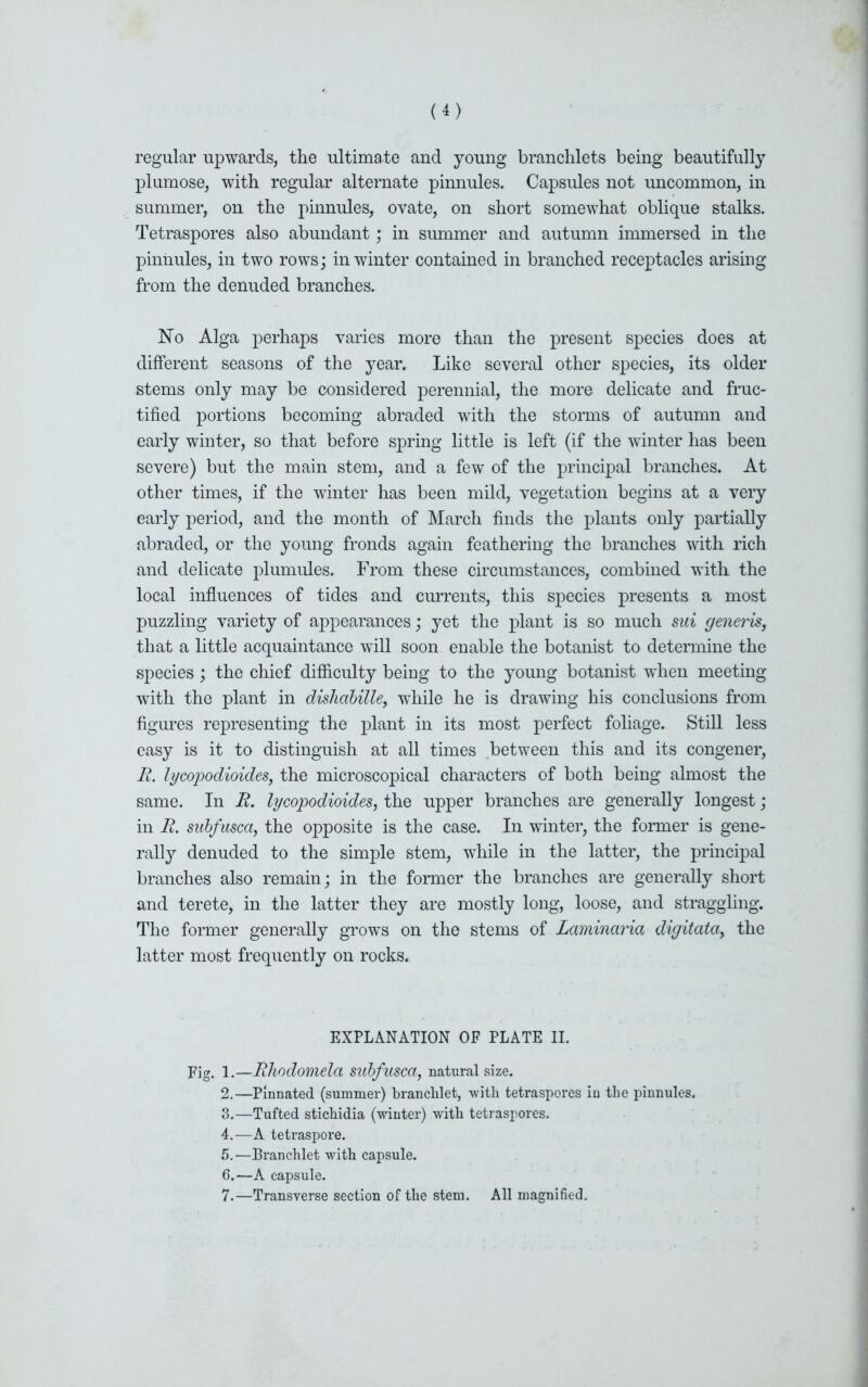 regular upwards, the ultimate and young branchlets being beautifully plumose, with regular alternate pinnules. Capsules not uncommon, in summer, on the pinnules, ovate, on short somewhat oblique stalks. Tetraspores also abundant; in summer and autumn immersed in the pinnules, in two rows; in winter contained in branched receptacles arising from the denuded branches. No Alga perhaps varies more than the present species does at different seasons of the year. Like several other species, its older stems only may be considered perennial, the more delicate and fruc- tified portions becoming abraded with the storms of autumn and early winter, so that before spring little is left (if the winter has been severe) but the main stem, and a few of the principal branches. At other times, if the winter has been mild, vegetation begins at a very early period, and the month of March finds the plants only partially abraded, or the young fronds again feathering the branches with rich and delicate plumules. From these circumstances, combined with the local influences of tides and currents, this species presents a most puzzling variety of appearances; yet the plant is so much sui generis, that a little acquaintance will soon enable the botanist to determine the species; the chief difficulty being to the young botanist when meeting with the plant in dishabille, while he is drawing his conclusions from figures representing the plant in its most perfect foliage. Still less easy is it to distinguish at all times between this and its congener, II. lycopodioides, the microscopical characters of both being almost the same. In R. lycopodioides, the upper branches are generally longest; in R. subfusca, the opposite is the case. In winter, the former is gene- rally denuded to the simple stem, while in the latter, the principal branches also remain; in the former the branches are generally short and terete, in the latter they are mostly long, loose, and straggling. The former generally grows on the stems of Laminaria digitata, the latter most frequently on rocks. EXPLANATION OF PLATE II. Fig. 1.—Rhodomela subfusca, natural size. 2. —Pinnated (summer) branclilet, with tetraspores in the pinnules. 3. —Tufted sticliidia (winter) with tetraspores. 4. —A tetraspore. 5. —Branchlet with capsule. 6. —A capsule. 7. —Transverse section of the stem. All magnified.