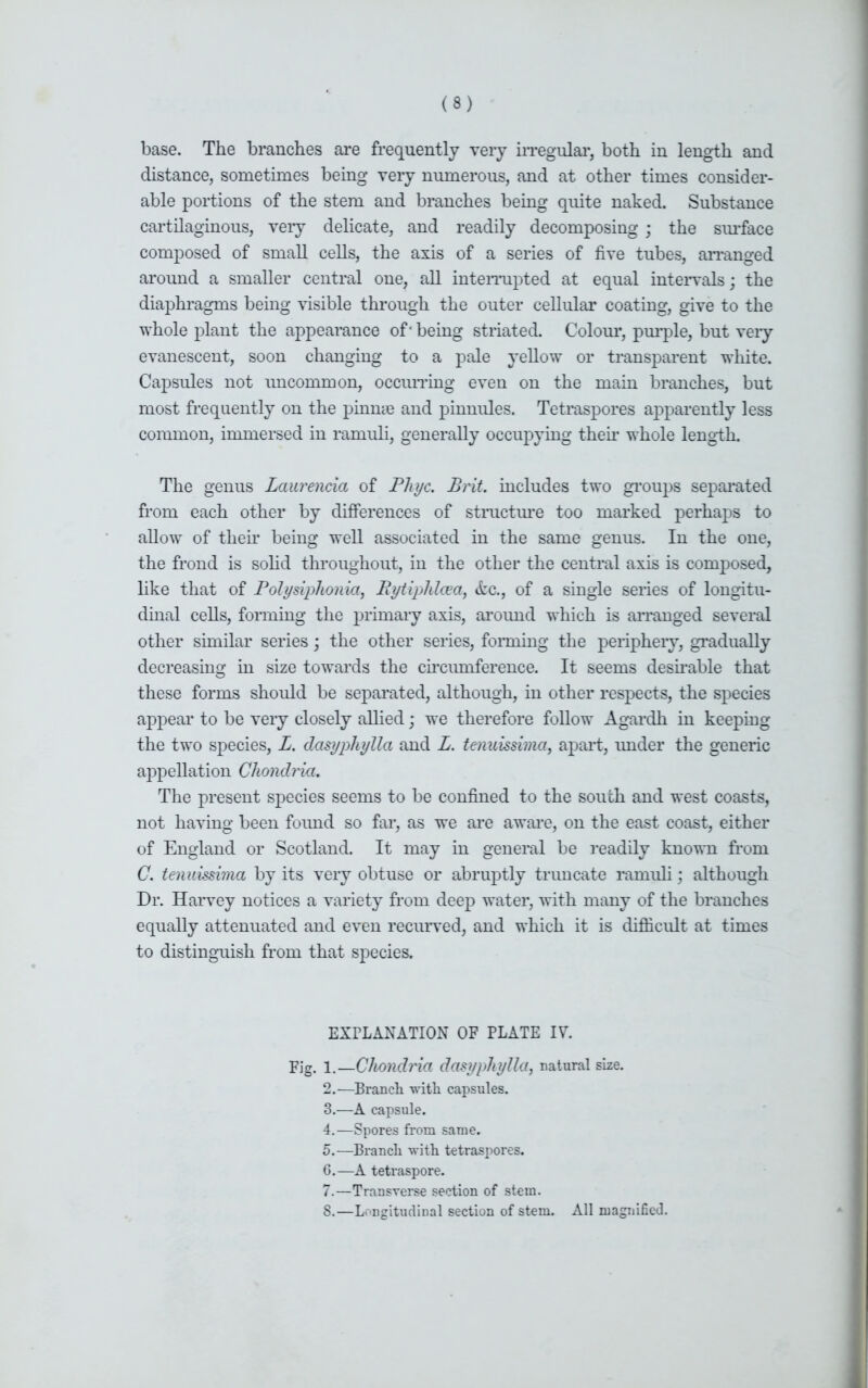 base. The branches are frequently very irregular, both in length and distance, sometimes being very numerous, and at other times consider- able portions of the stem and branches being quite naked. Substance cartilaginous, very delicate, and readily decomposing ; the surface composed of small cells, the axis of a series of five tubes, arranged around a smaller central one, all interrupted at equal intervals; the diaphragms being visible through the outer cellular coating, give to the whole plant the appearance of* being striated. Colour, purple, but very evanescent, soon changing to a pale yellow or transparent white. Capsules not uncommon, occurring even on the main branches, but most frequently on the pinme and pinnules. Tetraspores apparently less common, immersed in ramuli, generally occupying their whole length. The genus Laurencia of Phyc. Brit, includes two groups separated from each other by differences of structure too marked perhaps to allow of their being well associated in the same genus. In the one, the frond is solid throughout, in the other the central axis is composed, like that of Polysiphonia, Rytiphlcea, (fee., of a single series of longitu- dinal cells, forming the primary axis, around which is arranged several other similar series; the other series, forming the periphery, gradually decreasing in size towards the circumference. It seems desirable that these forms should be separated, although, in other respects, the species appear to be very closely allied; we therefore follow Agardh in keeping the two species, L. dctsyphylla and L. tenuissima, apart, under the generic appellation Chondria. The present species seems to be confined to the south and west coasts, not having been found so far, as we are aware, on the east coast, either of England or Scotland. It may in general be readily known from C. tenuissima by its very obtuse or abruptly truncate ramuli; although Dr. Harvey notices a variety from deep water, with many of the branches equally attenuated and even recurved, and which it is difficult at times to distinguish from that species. EXPLANATION OF PLATE IV. Fig. 1.—Chondria dasypkylla, natural she. 2. —Branch with capsules. 3. —A capsule. 4. —Spores from same. 5. —Branch with tetraspores. 6. —A tetraspore. 7. —Transverse section of stem. 8. —Longitudinal section of stem. All magnified.