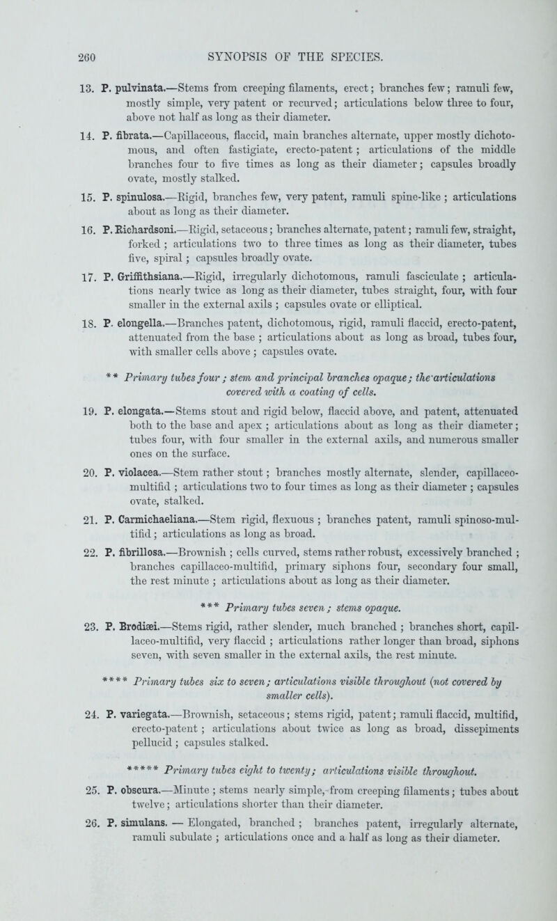 13. P. pulvinata.—Stems from creeping filaments, erect; branches few; ramnli few, mostly simple, veiy patent or recurved; articulations below three to foui’, above not half as long as their diameter. 14. P. fibrata.—Capillaceons, flaccid, main branches alternate, upper mostly dichoto- mous, and often fastigiate, erecto-patent ; articulations of the middle branches four to five times as long as their diameter; capsules broadly ovate, mostly stalked. 15. P. spinulosa.—Pigid, branches few, very patent, ramnli spine-like ; articulations about as long as their diameter. 16. P. Richardsoni.—Pigid, setaceous; branches alternate, patent; ramnli few, straight, forked ; articulations two to three times as long as their diameter, tubes five, spiral; capsules broadly ovate. 17. P. Griffithsiana.—Pigid, irregularly dichotomous, ramnli fasciculate ; articula- tions nearly twice as long as their diameter, tubes straight, four, with four smaller in the external axils ; caj)sules ovate or elliptical. 18. P. elongella.—Branches patent, dichotomous, rigid, ramnli flaccid, erecto-patent, attenuated from the base ; articulations about as long as broad, tubes four, with smaller cells above ; capsules ovate. ** Primary tubes four ; stem and principal branches opaque; the'aHiculations covered with a coating of cells. 19. P. elongata.—Stems stout and rigid below, flaccid above, and patent, attenuated both to the base and apex ; articulations about as long as their diameter; tubes four, with four smaller in the external axils, and numerous smaller ones on the surface. 20. P. violacea.—Stem rather stout; branches mostly alternate, slender, capiUaceo- multifid ; articulations two to four times as long as their diameter ; capsules ovate, stalked. 21. P. Carmichaeliana.—Stem rigid, flexuous ; branches patent, ramuli spinoso-mul- tifid; articulations as long as broad. 22. P. fibrillosa.—Brownish ; cells curved, stems rather robust, excessively branched ; branches capillaceo-multifid, primary siphons four, secondary four small, the rest minute ; articulations about as long as their diameter. *** Primary tubes seven; stems opaque. 23. P. Brodieei.—Stems rigid, rather slender, much branched ; branches short, capil- laceo-multifid, veiy flaccid ; articulations rather longer than broad, siphons seven, with seven smaller in the external axils, the rest minute. **** Primary tubes six to seven; articulations visible throughout {not covered by smaller cells). 24. P. variegata.—Brownish, setaceous; stems rigid, patent; ramidi flaccid, multifid, erecto-patent ; articulations about twice as long as broad, dissepiments pellucid; capsules stalked. ***** Primary tubes eight to twenty; articulations visible throughout. 25. P. obscura.—Minute ; stems nearly simple,-from creeping filaments; tubes about twelve; articulations shorter than their diameter. 26. P. simulans. — Elongated, branched ; branches patent, irregularly alternate, ramuli subidate ; articulations once and a half as long as their diameter.