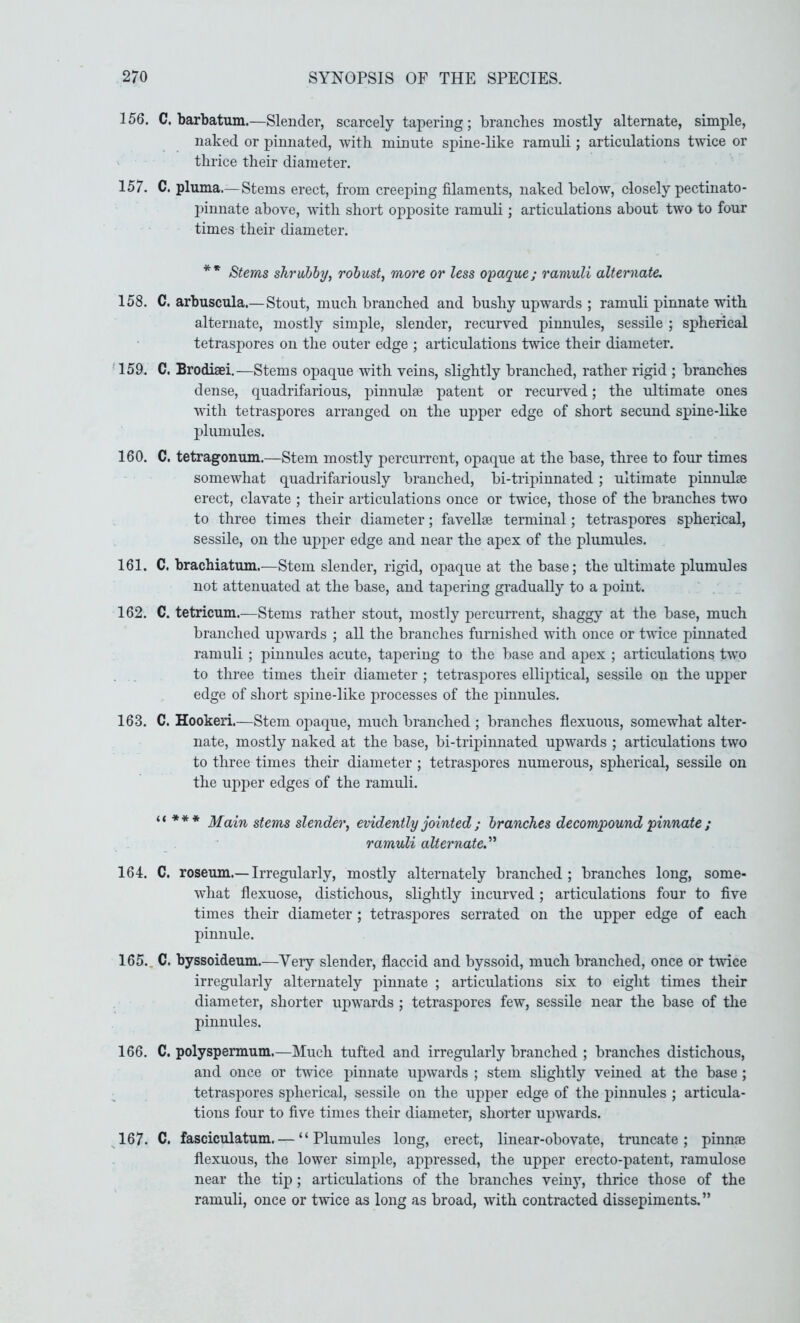 156. C. barbatmn.—Slender, scarcely tapering; branches mostly alternate, simple, naked or pinnated, with minute spine-like ramuli ; articulations twice or thrice their diameter. 157. C. pluma.— Stems erect, from creeping filaments, naked below, closely pectinato- pinnate above, with short opposite ramuli; articulations about two to four times their diameter. ** Stems shrubby, robust, more or less O'paque; ramuli alternate. 158. C. arbuscula.— Stout, much branched and bushy upwards ; ramuli pinnate with alternate, mostly simple, slender, recurved pinnules, sessile ; spherical tetraspores on the outer edge ; articulations tvdce their diameter. 159. C. Brodiaei.—Stems opaque with veins, slightly branched, rather rigid ; branches dense, quadrifarious, pinnulse patent or recurved; the ultimate ones with tetraspores arranged on the upper edge of short secund spine-like plumules. 160. C. tetragonum.—Stem mostly percurrent, opaque at the base, three to four times somewhat quadrifariously branched, bi-tripinnated; ultimate pinnulae erect, clavate ; their articulations once or twice, those of the branches two to three times their diameter; favellse terminal; tetraspores spherical, sessile, on the upper edge and near the apex of the plumules. 161. C. brachiatum.—Stem slender, rigid, opaque at the base; the ultimate plumules not attenuated at the base, and tapering gradually to a point. 162. C. tetricum.—Stems rather stout, mostly percurrent, shaggy at the base, much branched upwards ; all the branches furnished with once or twice pinnated ramuli ; pinnules acute, tapering to the base and apex ; articulations two to three times their diameter ; tetraspores elliptical, sessile on the upper edge of short spine-like processes of the pinnules. 163. C. Hookeri.—Stem opaque, much branched ; branches flexuous, somewhat alter- nate, mostly naked at the base, bi-tripinnated upwards ; articulations two to three times their diameter ; tetraspores numerous, spherical, sessile on the upper edges of the ramuli. <<*** Main stems slender, evidently jointed ; branches decompound ^pinnate ; ramuli alternate.''' 164. C. roseum.—Irregularly, mostly alternately branched; branches long, some- what flexuose, distichous, slightly incurved; articulations four to five times their diameter ; tetraspores serrated on the upper edge of each pinnule. 165.. C. byssoideum.—Very slender, flaccid and byssoid, much branched, once or twice irregularly alternately pinnate ; articulations six to eight times their diameter, shorter upwards ; tetraspores few, sessile near the base of the pinnules. 166. C. polyspermum.—Much tufted and irregularly branched ; branches distichous, and once or twice pinnate upwards ; stem slightly veined at the base ; tetraspores spherical, sessile on the upper edge of the pinnules ; articula- tions four to five times their diameter, shorter upwards. 167. C. fasciculatum. — “Plumules long, erect, linear-obovate, truncate; pinnae flexuous, the lower simple, appressed, the upper erecto-patent, ramulose near the tip ; articulations of the branches veiny, thrice those of the ramuli, once or twice as long as broad, with contracted dissepiments.”