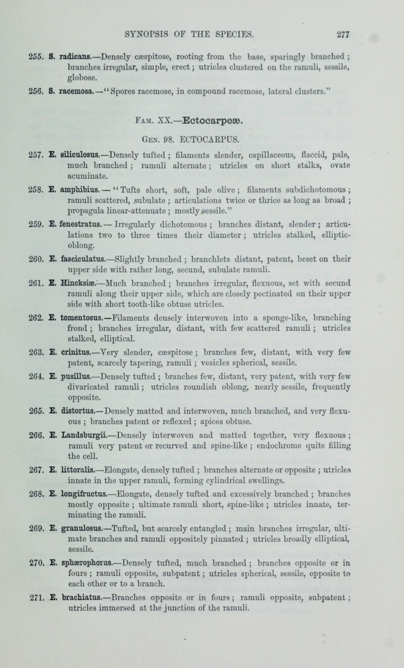 255. S. radicans.—Densely caespitose, rooting from the base, s])aringly branched ; branches irregular, simple, erect; utricles clustered on the ramuli, sessile, globose. 256. S. racemosa.—“Spores racemose, in compound racemose, lateral clusters.” Fam. XX.—Ectocarpese. Gen. 98. ECTOCARPUS. 257. E. Biliculosus.—Densely tufted ; filaments slender, capillaceous, flaccid, pale, much branched; ramuli alternate; utricles on short stalks, ovate acuminate. 258. E. amphibius.— “Tufts short, soft, pale olive; filaments subdichotomous ; ramuli scattered, subulate ; articulations twice or thrice as long as broad ; propagula linear-attenuate; mostly sessile.” 259. E. fenestratus. — Irregularly dichotomous ; branches distant, slender ; articu- lations two to three times their diameter; utricles stalked, elliptic- oblong. 260. E. fasciculatus.—Slightly branched ; branclilets distant, patent, beset on their upper side with rather long, secund, subulate ramuli. 261. E. Hincksiae.—Much branched ; branches irregidar, flexuous, set vdth secund ramuli along their upper side, which are closely pectinated on their upper side with short tooth-like obtuse utricles. 262. E. tomentosus.—Filaments densely interwoven into a sponge-like, branching frond ; branches irregular, distant, with few scattered ramuli; utricles stalked, elliptical. 263. E. crinitus.—Very slender, caespitose ; branches few, distant, with veiy few patent, scarcely tapering, ramuli; vesicles spherical, sessile. 264. E. pusillus.—Densely tufted ; branches few, distant, very patent, wdth very few divaricated ramuli; utricles roundish oblong, nearly sessile, frequently opposite. 265. E. distortus.—Densely matted and interwoven, much branched, and very flexu- ous ; branches patent or reflexed ; apices obtuse. 266. E. Landsburgii.—Densely interwoven and matted together, very flexuous ; ramuli very patent or recurv^ed and spine-like ; endochrome quite filling the cell. 267. E. littoralis.—Elongate, densely tufted ; branches alternate or opposite ; utricles innate in the upper ramuli, forming cylindrical swellings. 268. E. longifructus.—Elongate, densely tufted and excessively branched ; branches mostly opposite ; ultimate ramuli short, spine-like ; utricles innate, ter- minating the ramuli. 269. E. granulosus.—Tufted, but scarcely entangled; main branches irregular, ulti- mate branches and ramuli oppositely pinnated ; utricles broadly elliptical, sessile. 270. E. sphaeropboius.—Densely tufted, much branched; branches opposite or in fours ; ramuli opposite, subpatent; utricles spherical, sessile, opposite to each other or to a branch. 271. E. bracbiatus.—Branches opposite or in fours ; ramuli opposite, subpatent; utricles immersed at the junction of the ramuli.