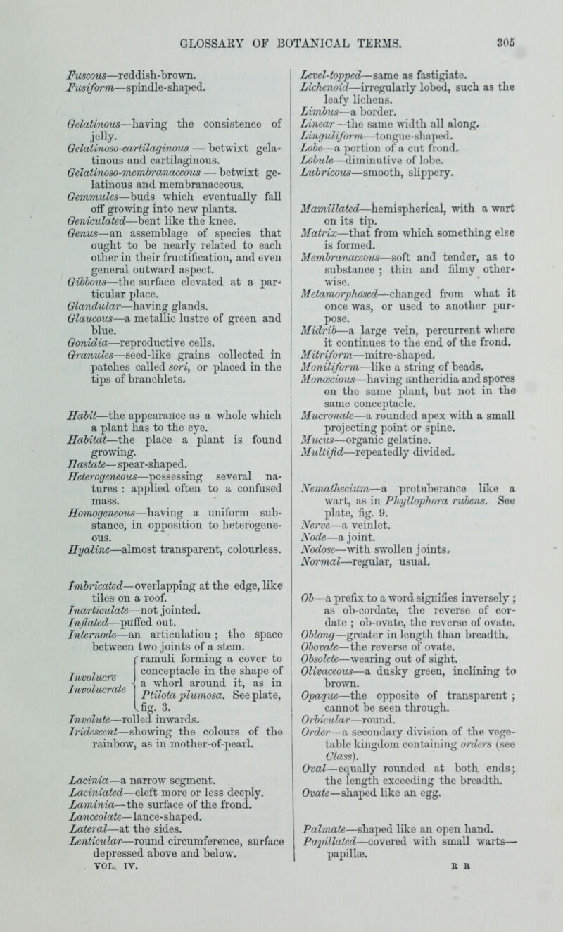 Fuscous—reddish-brown. Fusiform—spindle-shaped. Gelatinous—having the consistence of jelly. Gelatinoso-cartilaginous — betwdxt gela- tinous and cartilaginous. Gelatinoso-membranaceous — betwixt ge- latinous and membranaceous. Gemrnules—buds w^hich eventually fall off growing into new plants. Geniculated—bent like the knee. Genus—an assemblage of species that ought to be nearly related to each other in their fructification, and even general outward aspect. Gibbous—the surface elevated at a par- ticular place. Glandular—having glands. Glaucous—a metallic lustre of green and blue. Gonidia—reproductive cells. Granules—seed-like grains collected in patches called sori, or placed in the tips of branchlets. Habit—the appearance as a whole which a plant has to the eye. Habitat—the place a plant is found growing. Hastate— spear-shaped. Heterogeneous—possessing several na- tures : applied often to a confused mass. Homogeneous—having a uniform sub- stance, in opposition to heterogene- ous. Hyaline—almost transparent, colourless. Level-topped—same as fastigiate. Lichenoid—irregularly lobed, such as the leafy lichens. Limbus—a border. Linear —the same width all along. Linguliform—tongue-shaped. Lobe—a portion of a cut frond. Lobule—diminutive of lobe. Lubricous—smooth, slippery. Mamillated—hemispherical, with a wart on its tip. Matrix—that from which something else is formed. Membranaceous—soft and tender, as to substance ; thin and filmy other- wise. Metamorphosed—changed from what it once was, or used to another pur- pose. Midrib—a large vein, percurrent where it continues to the end of the frond. Mitriform—mitre-shaped. Moniliform—like a string of beads. Monoecious—having antheridia and spores on the same plant, but not in the same conceptacle. Mucronate—a rounded apex with a small projecting point or spine. Mucus—organic gelatine. Multifid—repeatedly divided. Nemathecium—a protuberance like a wart, as in Phyllophora rubens. See plate, fig. 9. Nerve—Si veinlet. Node—a joint. Nodose—Avith swollen joints. Normal—regular, usual. /m&ricafec?—overlapping at the edge, like tiles on a roof. Inarticulate—not jointed. Inflated—puffed out. Internode—an articulation; the space between two joints of a stem. ('ramuli forming a cover to ■r 7 1 conceptacle in the shape of Inmlucre I Involmraiz ] Ptilota plmiwsa. See plate, Ifis. 3. Involute—rolled imvards. Iridescent—showing the colours of the rainboAv, as in mother-of-pearl. Lacinia—a narrow segment. Laxiniated—cleft more or less deeply. Laminia—the surface of the frond. Lanceolate—lance-shaped. Lateral—at the sides. Lenticular—round circumference, surface depressed above and below. . VOL. IV. Ob—a prefix to a word signifies inversely ; as ob-cordate, the reverse of cor- date ; ob-ovate, the reverse of ovate. Oblong—greater in length than breadth. Obovate—t\ie. reverse of ovate. Obsolete—wearing out of sight. Olivaceous—a dusky green, inclining to brown. Opaque—the opposite of transparent ; cannot be seen through. Orbicular—round. Order—a secondary division of the vege- table kingdom containing orders (see Class). Owa?—equally rounded at both ends; the length exceeding the breadth. Ouafc—shaped like an egg. Palmate—shaped like an open hand. Papillated—covered with small warts— papillae. R R