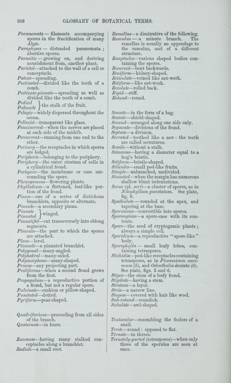 Paranemata — filaments accompanying spores in the fructification of many Algse. Parapliyses — distended paranemata ; abortive spores. Parasitic — growing on, and deriving nourishment from, another plant. Parietal—attached to the wall of a cell or conceptacle. Patent— spreading. Pectinated—divided like the teeth of a comb. Pectinato-pinnate—spreading as well as divided like the teeth of a comb. ^^uncle I stalk of the fruit. Pelagic—widely dispersed throughout the ocean. Pellucid—transparent like glass. Penninerved—when the nerves are placed at each side of the midrib. Percurrent—running from one end to the other. Pericarp—the receptacles in which spores are lodged. Peripheric—belonging to the periphery. Periphery—the outer stratum of cells in a cylindrical frond. Perispore—\)a% membrane or case sur- rounding the spore. Pherogainous—flowering plants. Phyllodium—a flattened, leaf-like por- tion of the frond. Pinna—one of a series of distichous branclilets, opposite or alternate. Pinnule—a secondary pinna. Pinnatifid^cxit transeversely into oblong segments. Placenta—the part to which the spores are attached. Plane—level. Plumule—a pinnated branchlet. many-angled. Polyhedral—many-sided. Polymorphous—many-shaped. Process—any projecting part. Proliferous—when a second frond grows from the first. Propagulum—a reproductive portion of a frond, but not a regular spore. Pulvinate—cushion or pillow-shaped. Punctated—dLotied^. Pyriform—pear-shaped. Quadrifarious—proceeding from all sides of the branch. Quaternaie—in fours. Racemose—having many stalked con- ceptacles along a branchlet. Radicle—a small root. Ramellus—a diminutive of the following. Ramulus — a minute branch. The ramellus is usually an appendage to the ramulus, and of a difierent structure. Receptacles—various shaped bodies con- taining the spores. Recurved—bent backwards. Reniform—kidney-shaped. Reticulate—veined like net-work. Retiform—like net-work. Revolute—rolled back. Rigid—stiff. Rotund—round. Saccate—in the form of a bag. Scutate—shield-shaped. Secund—arranged along one side only. Segments—divisions of the frond. Septum—a division. iScrrafec?—toothed like a saw : the teeth are called serratures. Sessile—without a stalk. Setaceous—having a diameter equal to a hog’s bristle. Setiform—bristle-shaped. Silicules—small pod-like fruits. Simple— unbranched, undivided. Sinuated—when the margin has numerous shallow blunt indentations. Sorus (pi. sori)—a cluster of spores, as in Nitophyllum punctatum. See plate, fig. 8. Spathulate—rounded at the apex, and tapering at the base. Sporaceous—convertible into spores. Sporangium—a spore-case vith its con- tents. Spore—the seed of crjqptogamic plants ; always a simple cell. Sporidium—a reproductive ‘ ‘ spore-like ” body. Sporophylla— small leafy lobes, con- taining tetraspores. Stichidia-podi-YiikQ receptacles containing tetraspores, as in Plocamicum cocei- neum (5), and Odonthalia dentata (6). See plate, figs. 5 and 6. Stipes —t\\e. stem of a leafy frond. Stipitate—having a stem. Stratum—a layer. Stria—a narrow line. Stupose—covered with hair like wool. Sub-rotund—roundish. Subulate—awl-shaped. Tentacular—resembling the feelers of a snail. Terete—round ; opposed to flat. Ternate—in threes. Ternately-parted (tetraspores)—when only three of the sporules are seen at once.